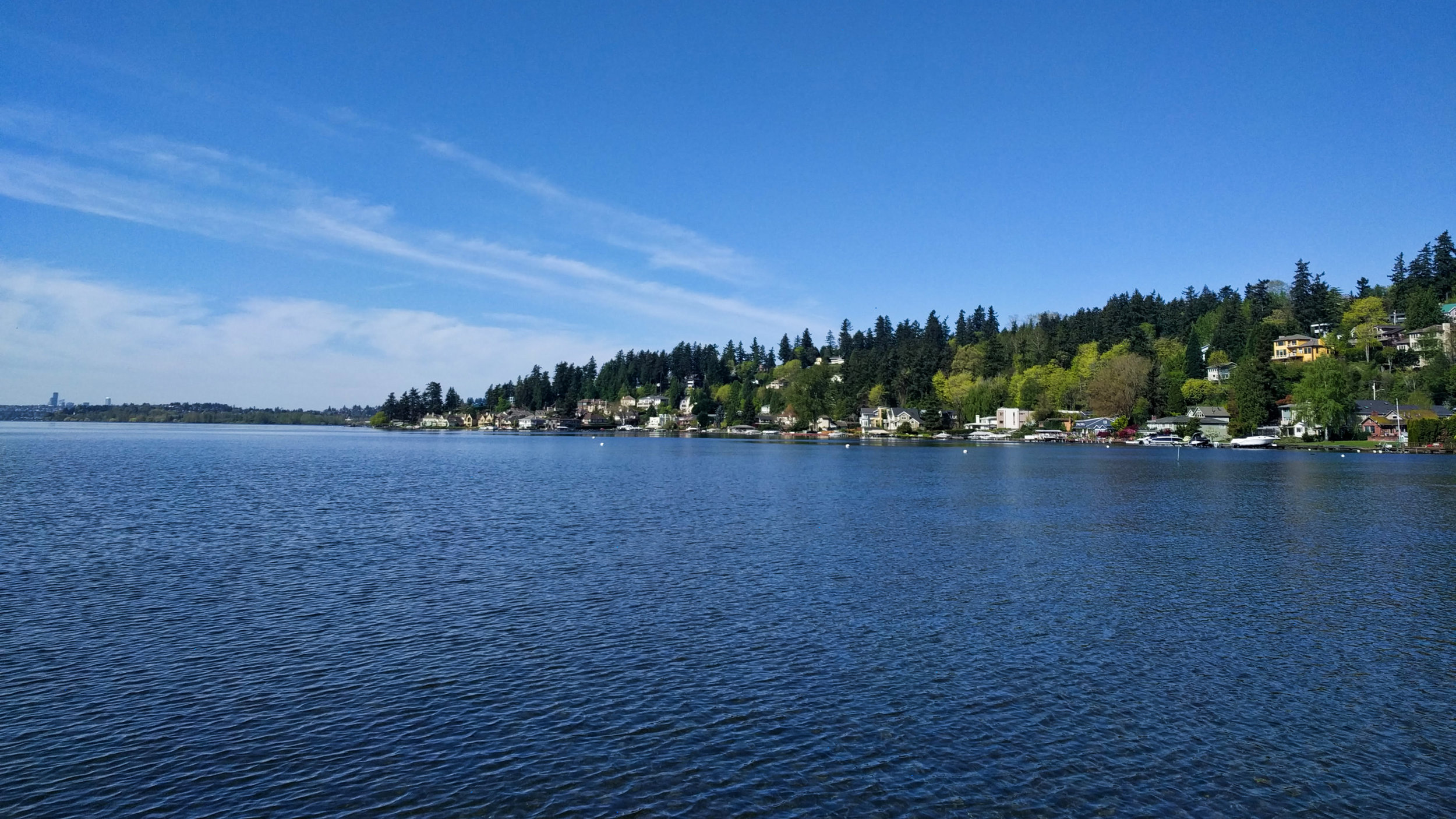 Lake Washington views over the Juanita Beach Park boardwalk loop trail