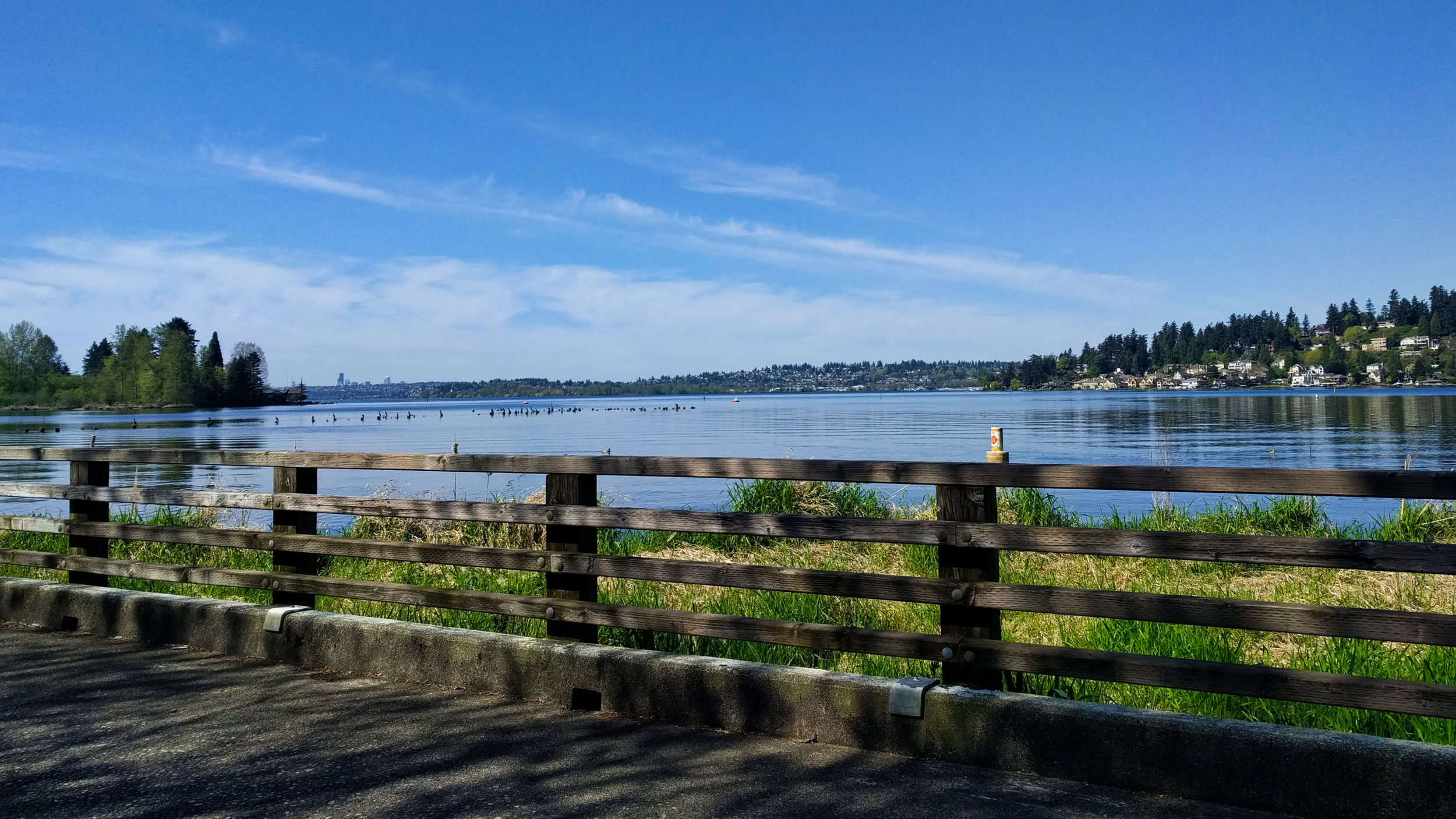 Lake Washington views from the Juanita Bay Park long boardwalk