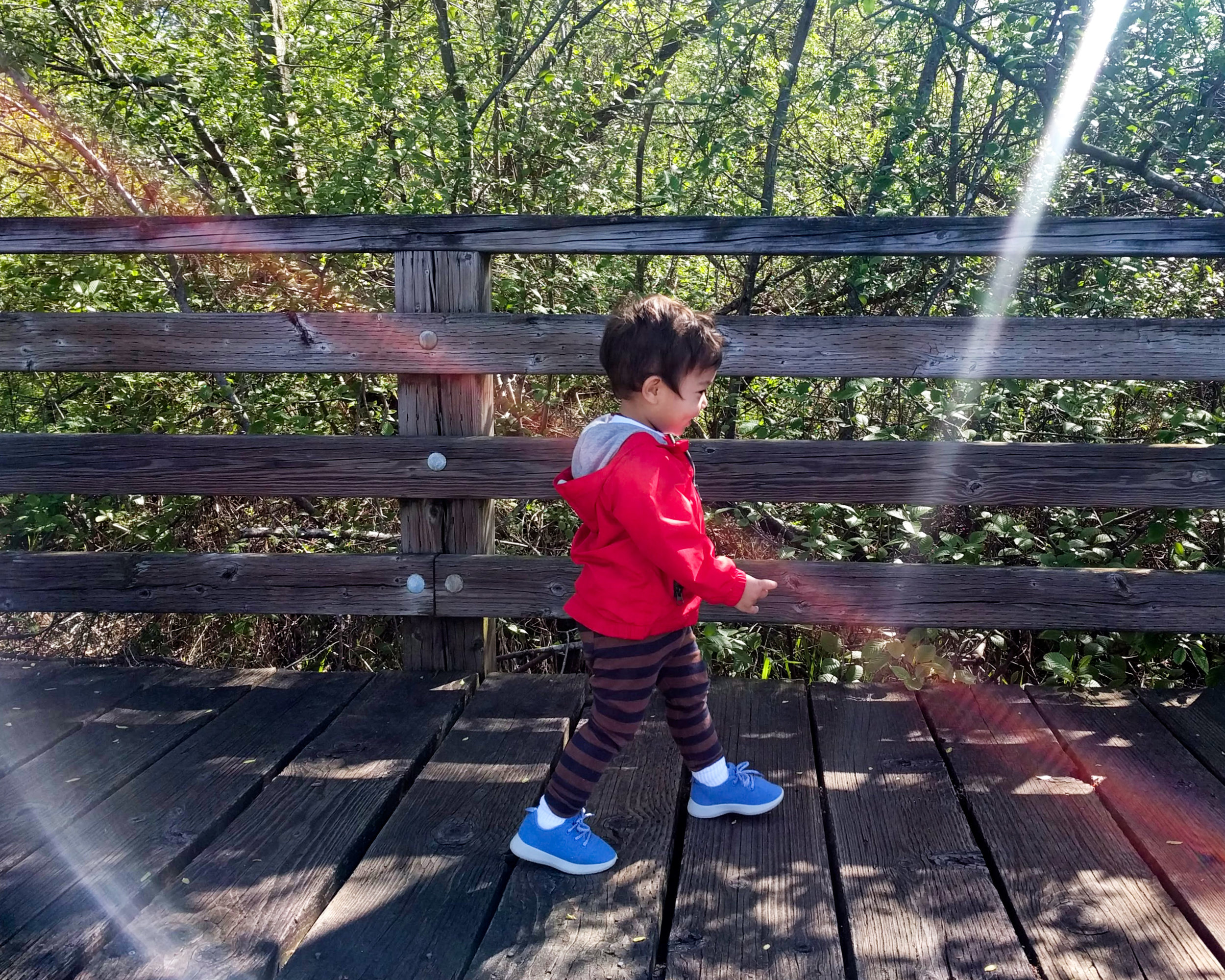 Elden (2 years old) walking the Juanita Bay Park boardwalk