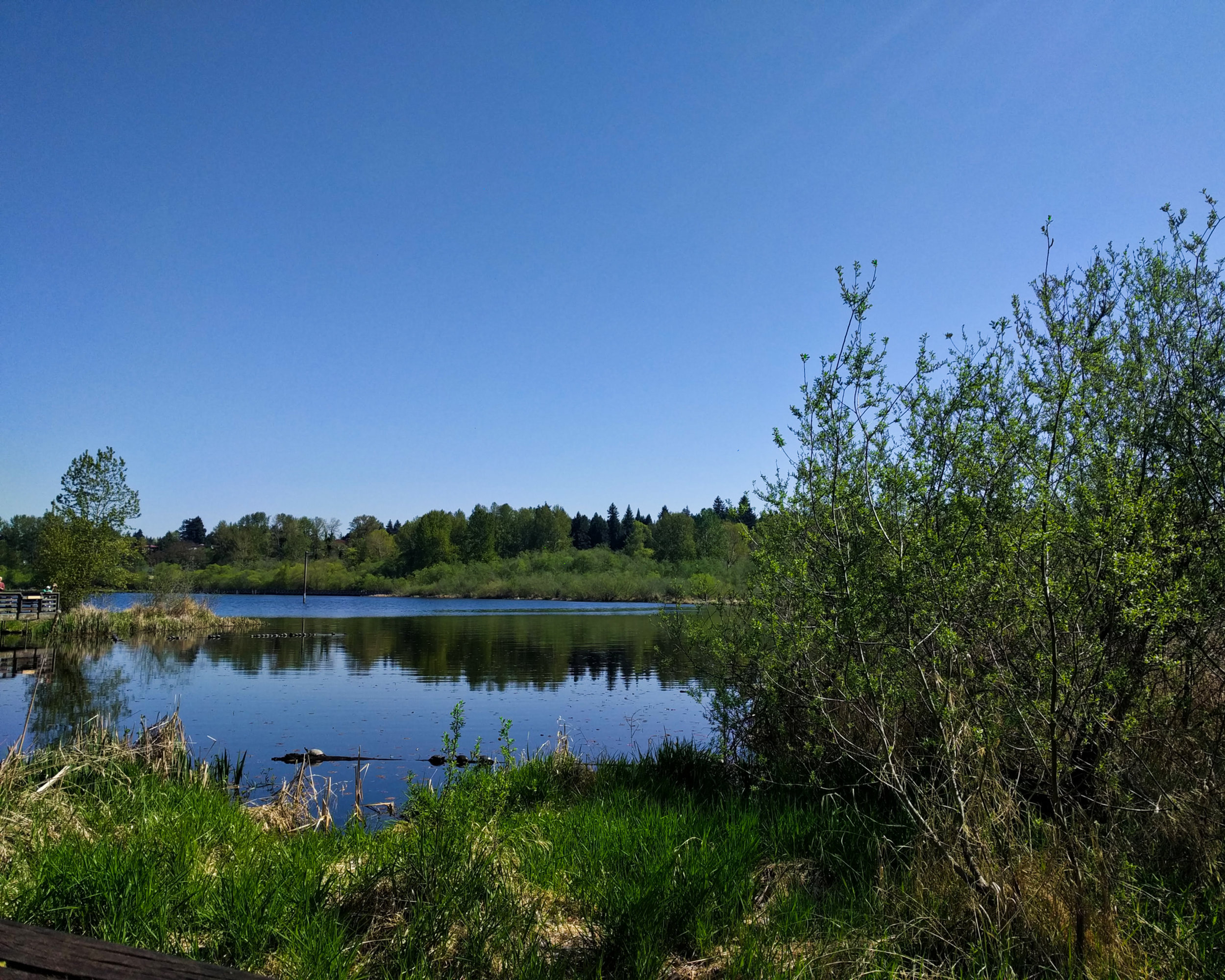 Juanita Bay water views