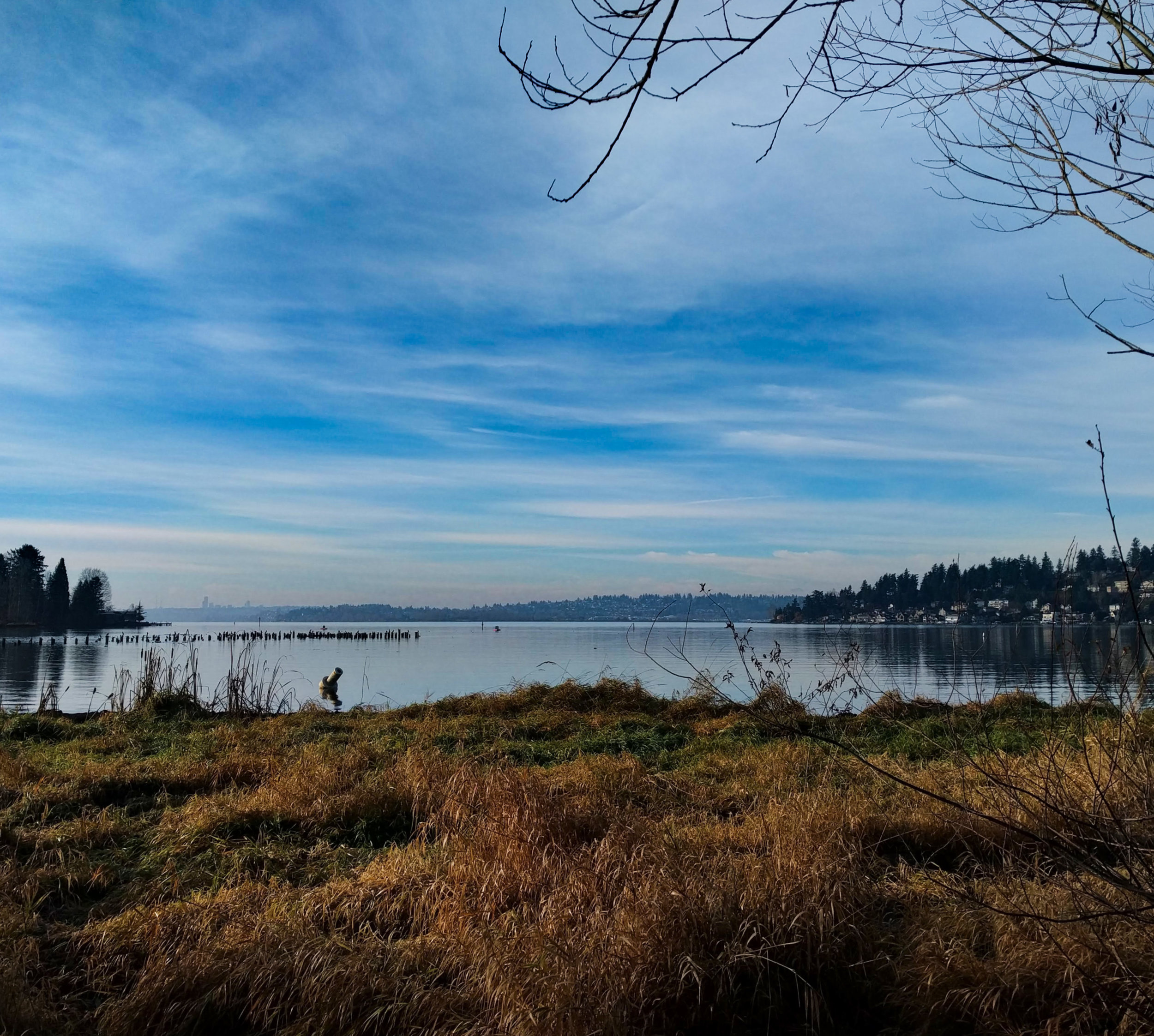 Juanita Bay Park in the winter