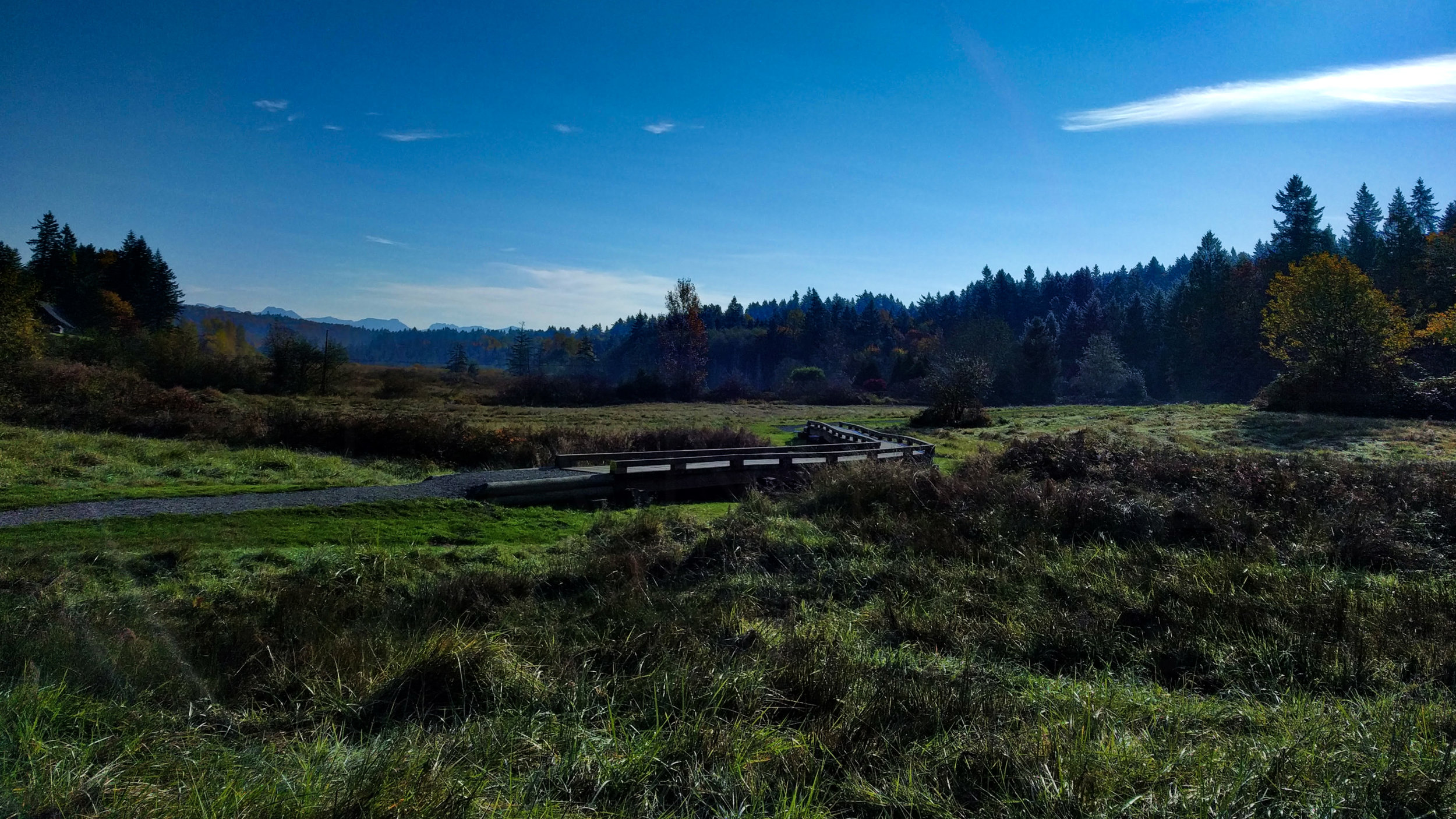 Lower Evan's Creek boardwalk views before you head into the woods