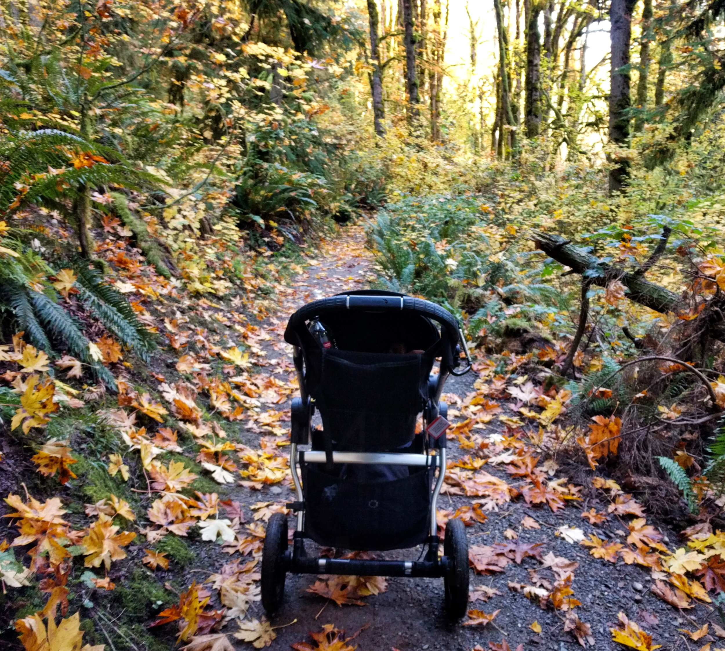 Stroller (though not very stroller-friendly) along the Evan's Creek Preserve trail in autumn