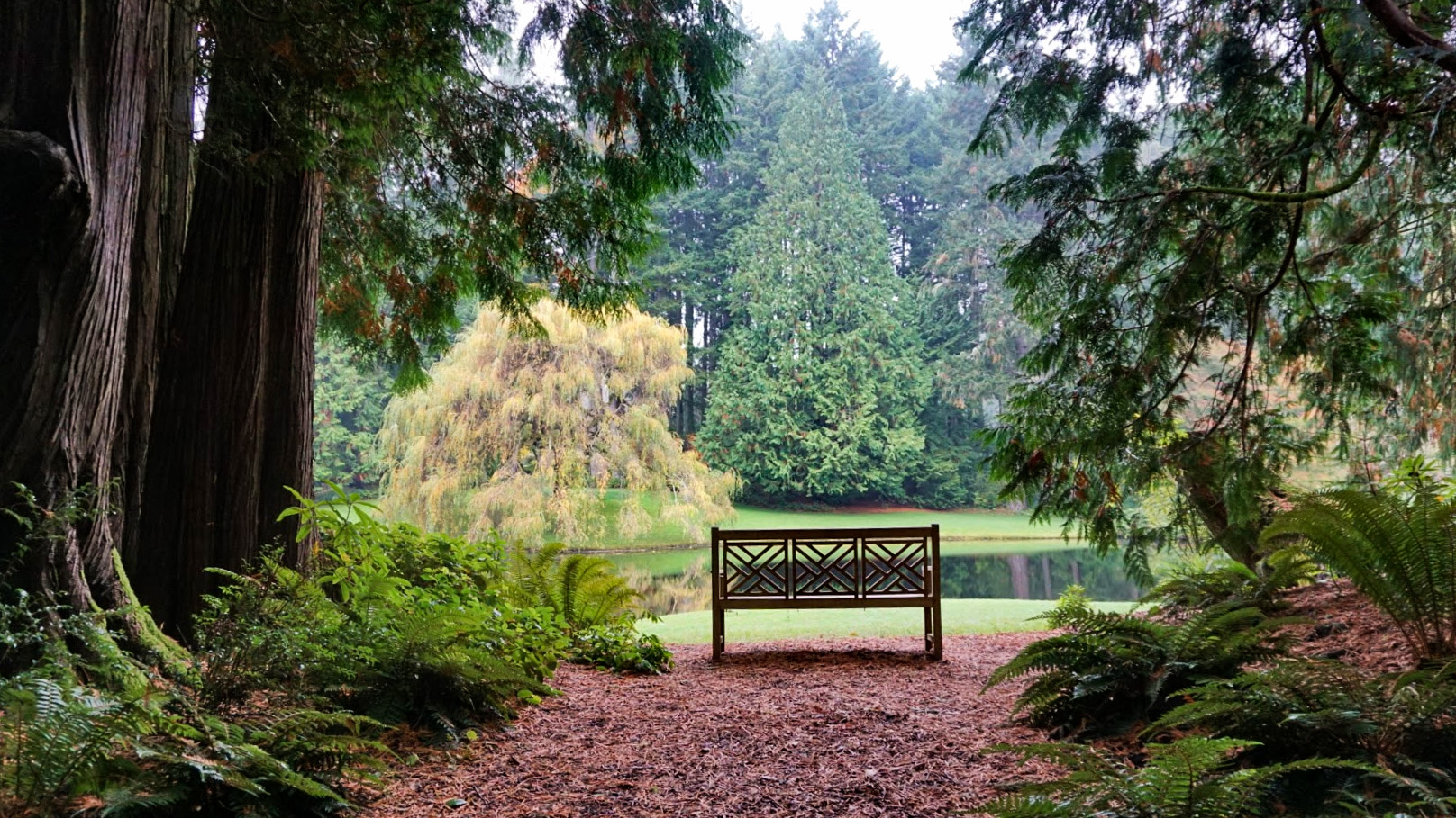 Peaceful retreat on Bainbridge Island