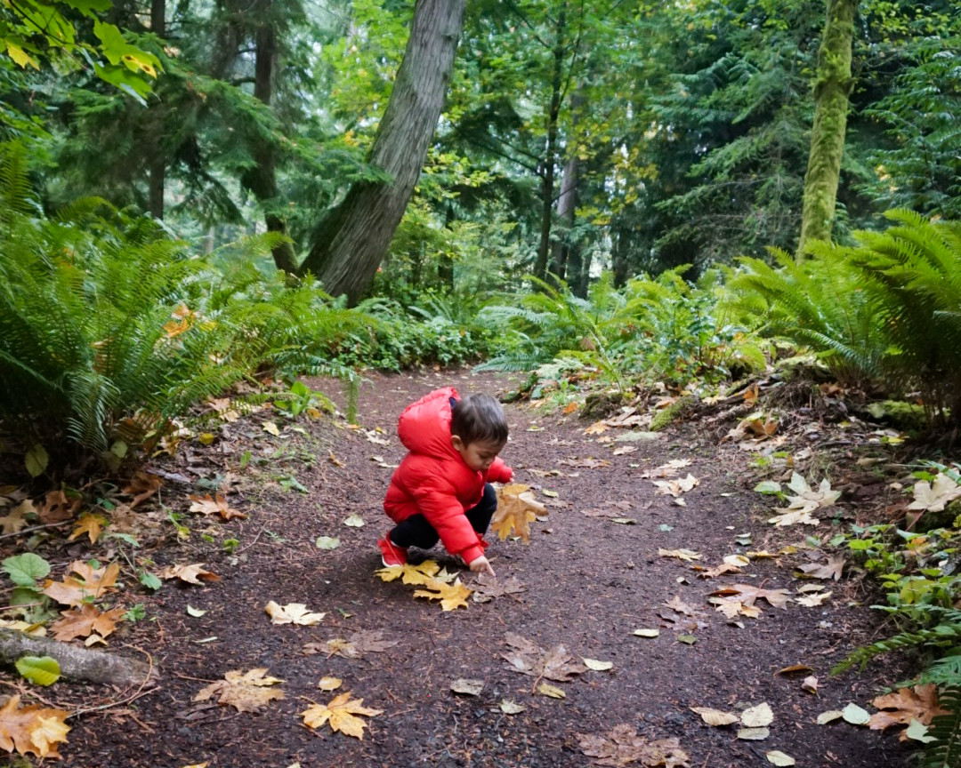 Elden (21 months old) collecting leaves along the trail