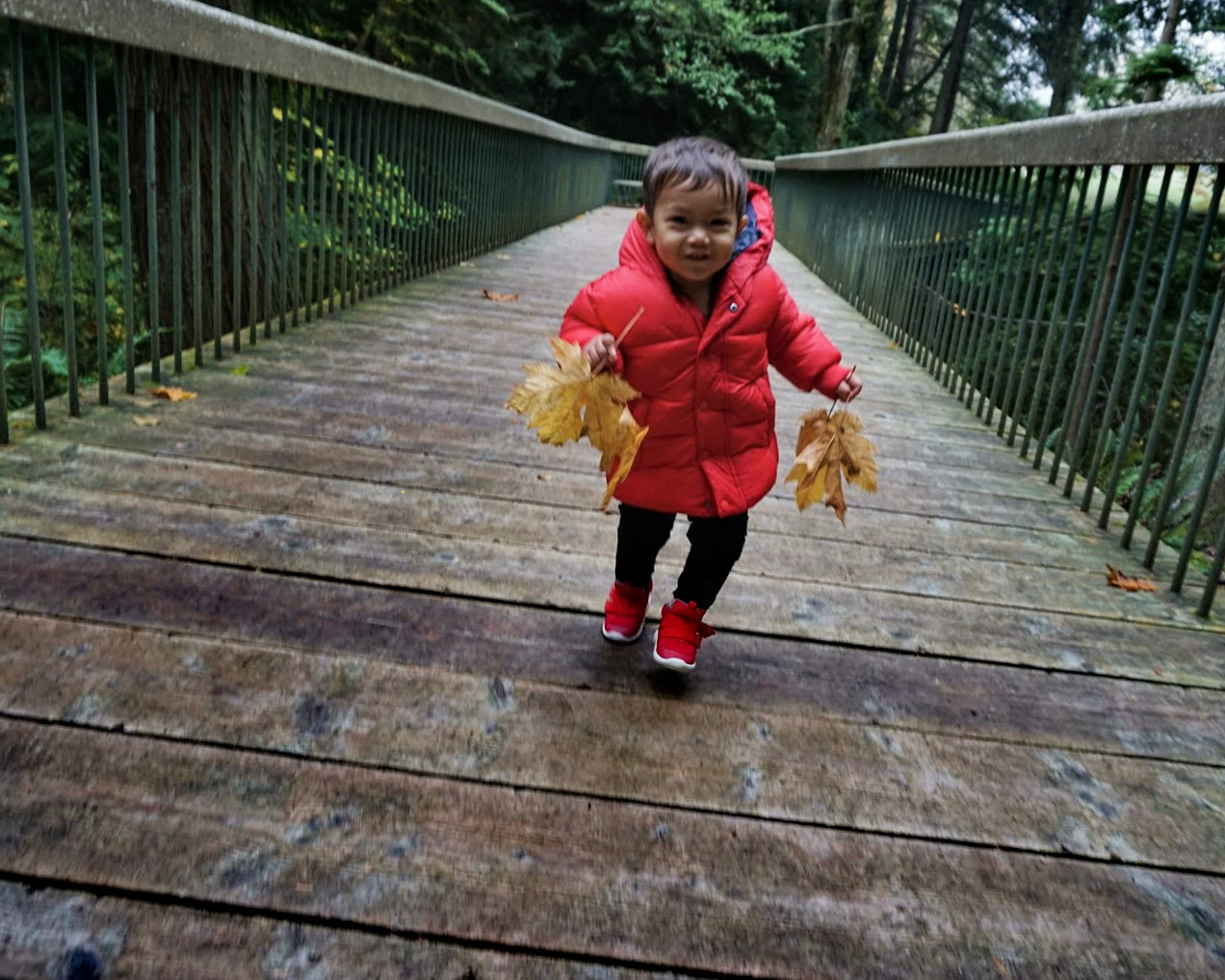  Elden (21 months old) carrying his leaves over the bridge 