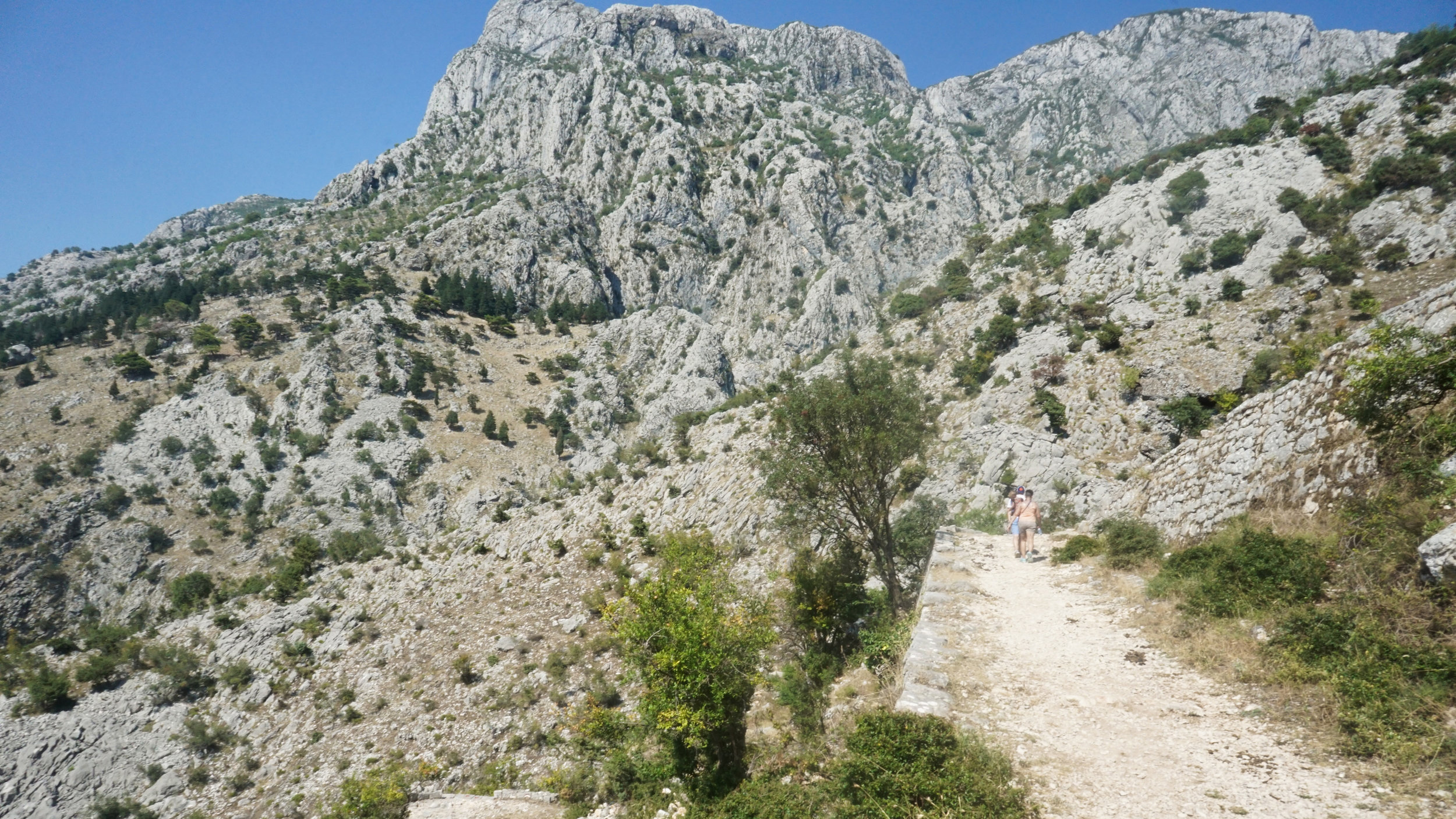 The trail looked mostly likely this, switching directions back and forth