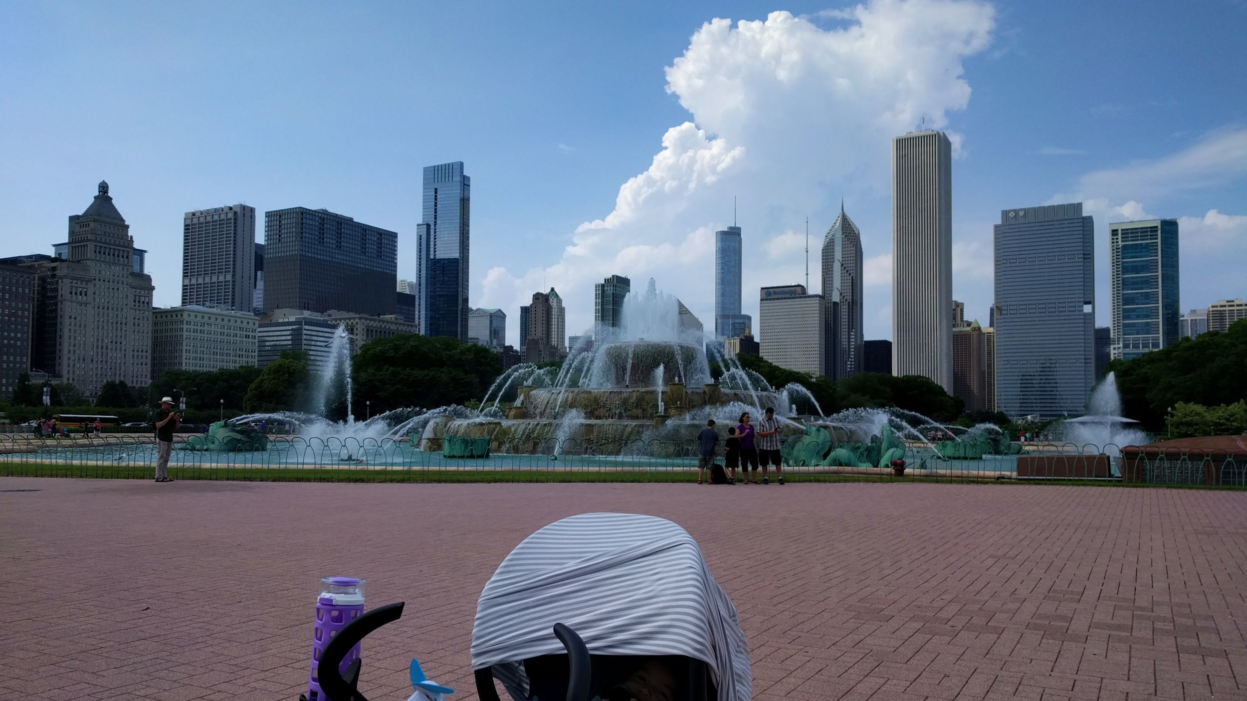 Elden strolling around Grant Park in Chicago, IL at 4 months old