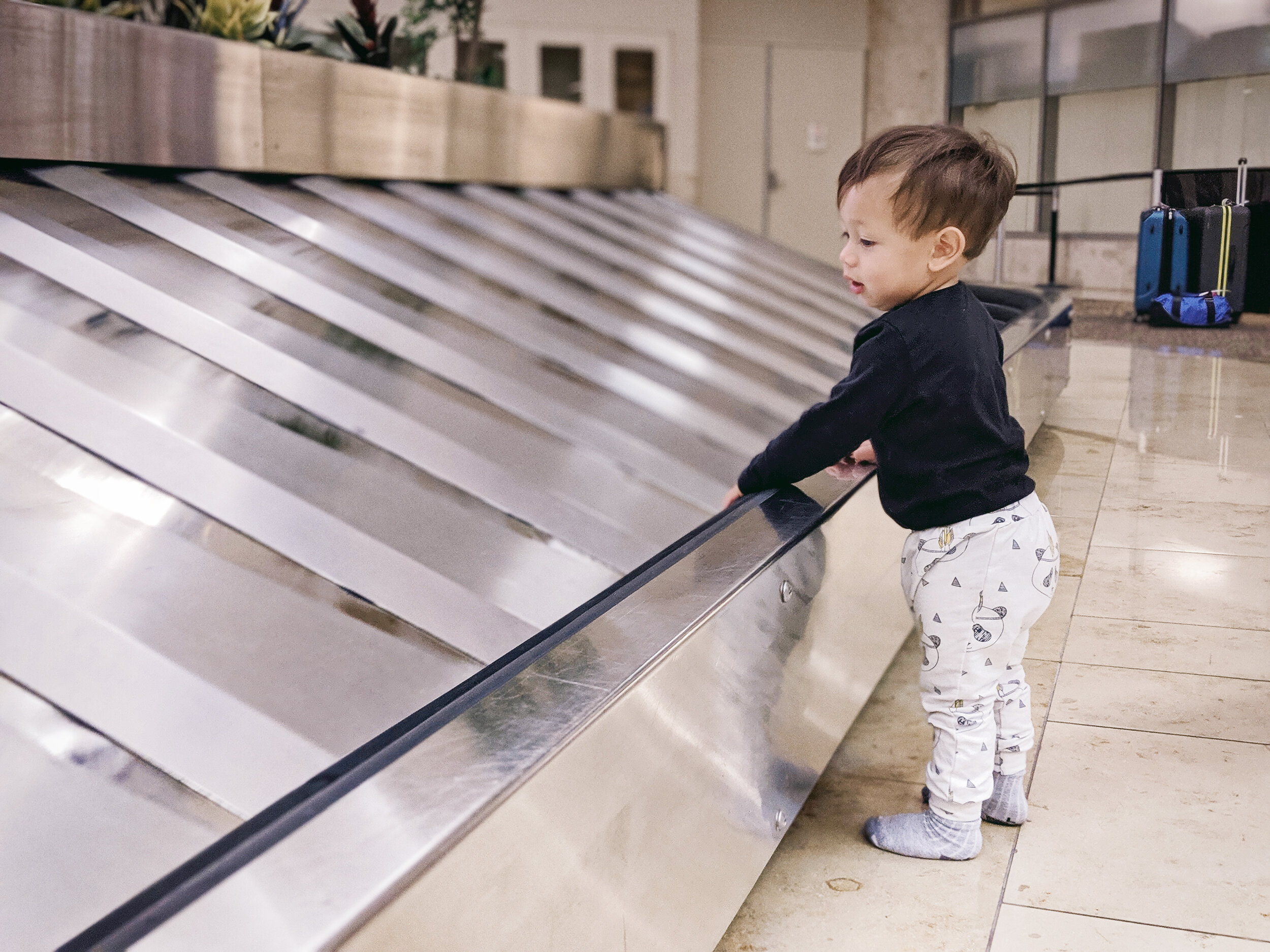  Orlo debating jumping on the baggage carousel 