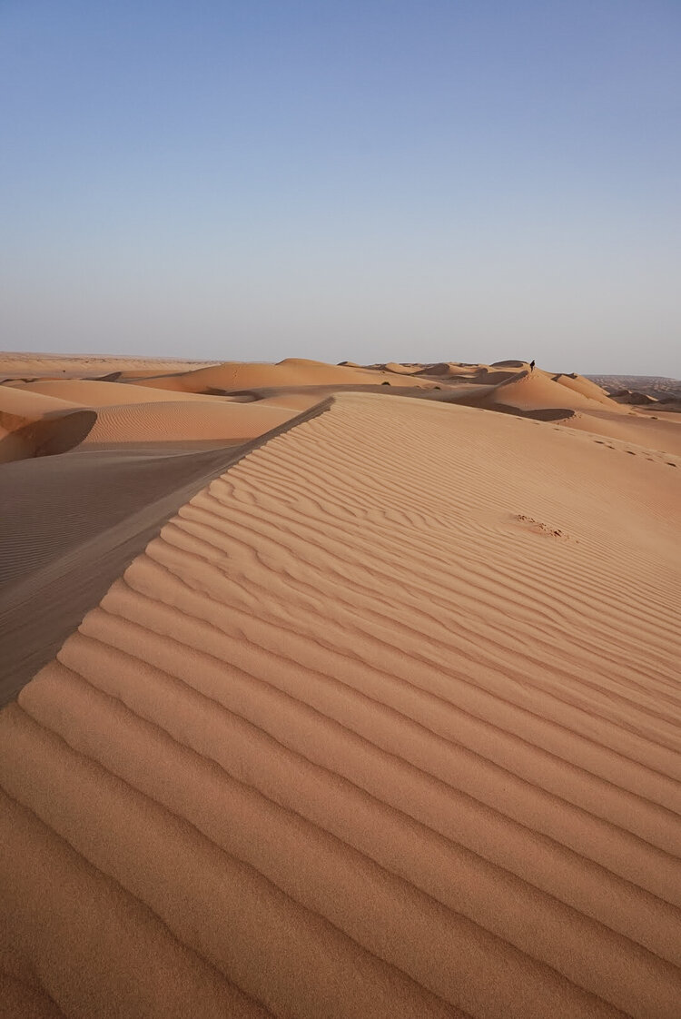 Beautiful-desert-dune-ripples-Oman-Wahiba-Sharqiya-Sands.jpg