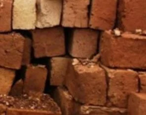 19. November - Welt-Toilettentag