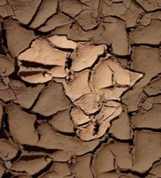 Amrefs Strategie &amp; Reaktionen auf den Klimawandel