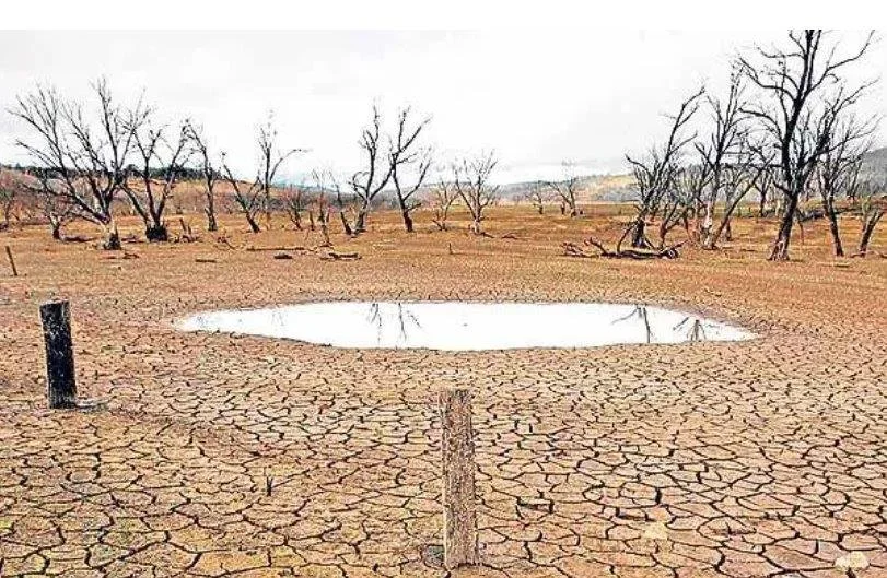 20.Juni – Weltflüchtlingstag