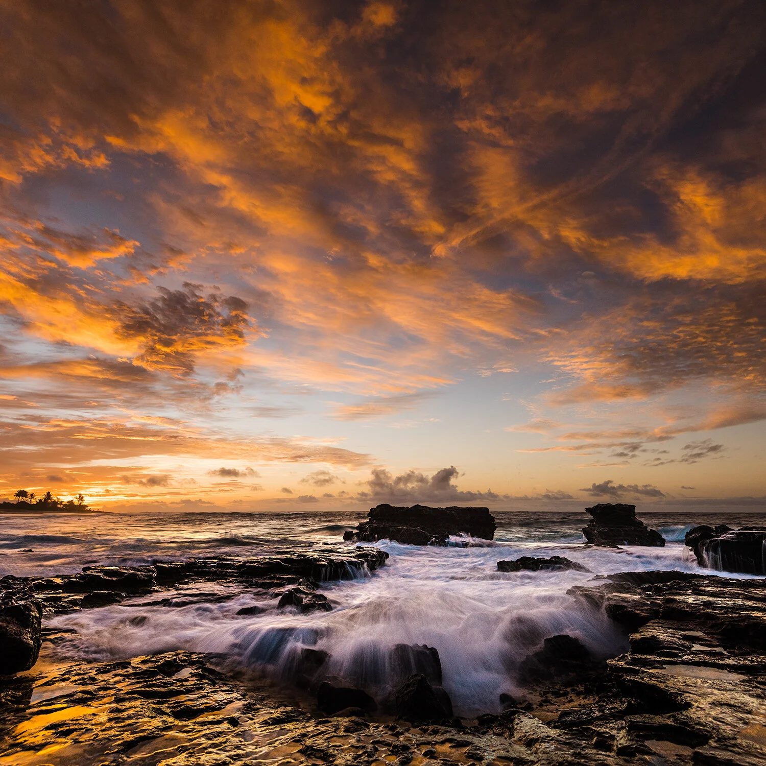 Cotton Candy Sky55.jpg