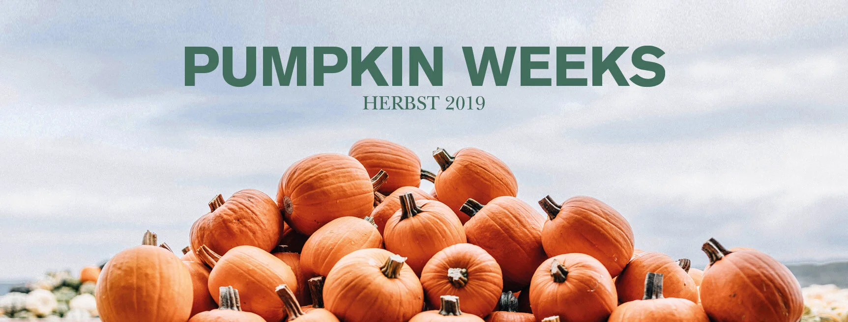 IRO_Pumpkin_Weeks_19_FB_Header_RZ_Screen.jpg