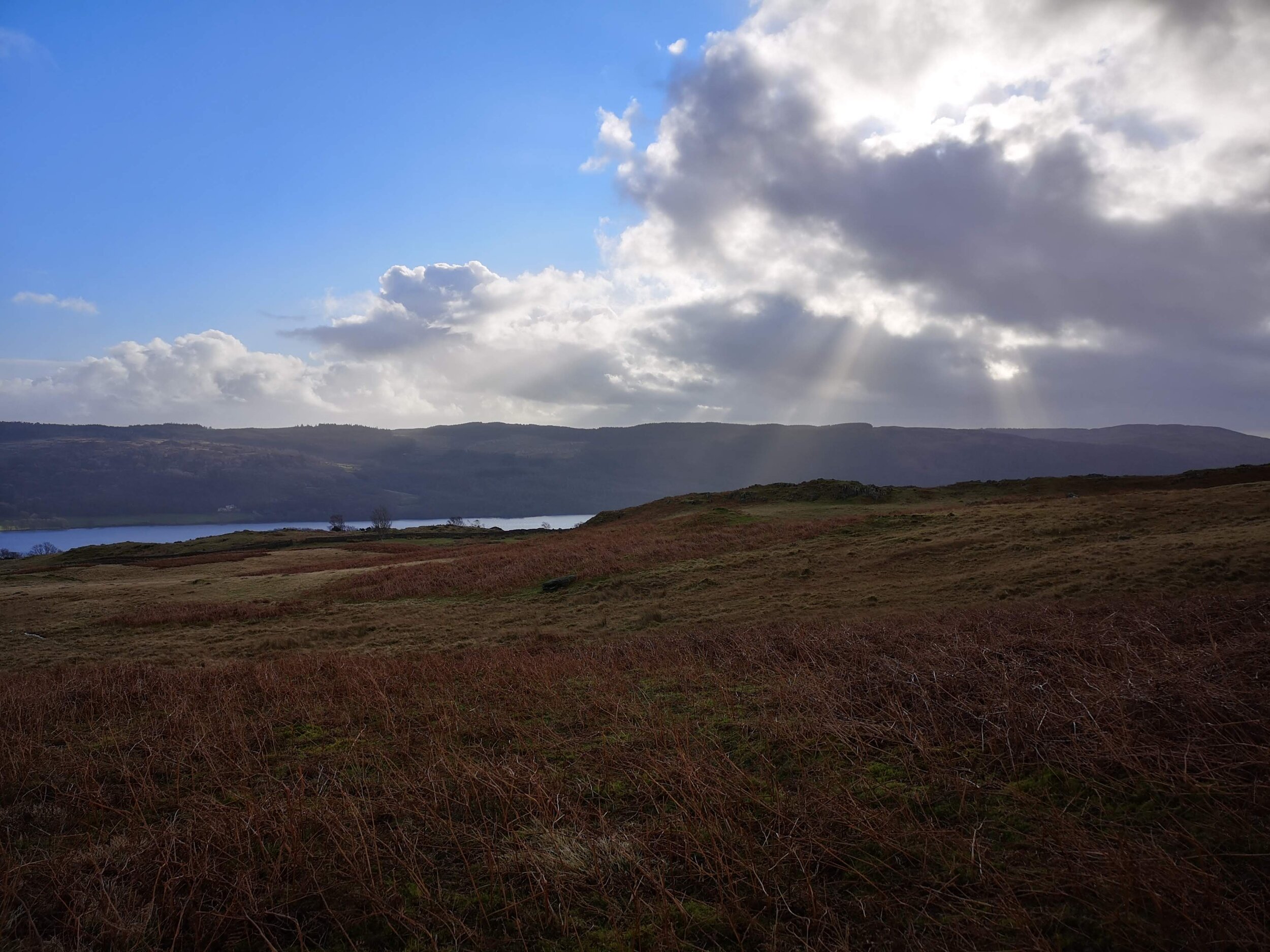 Photos of Low Moor Wood to Banishead Quarry - Cumbria, England