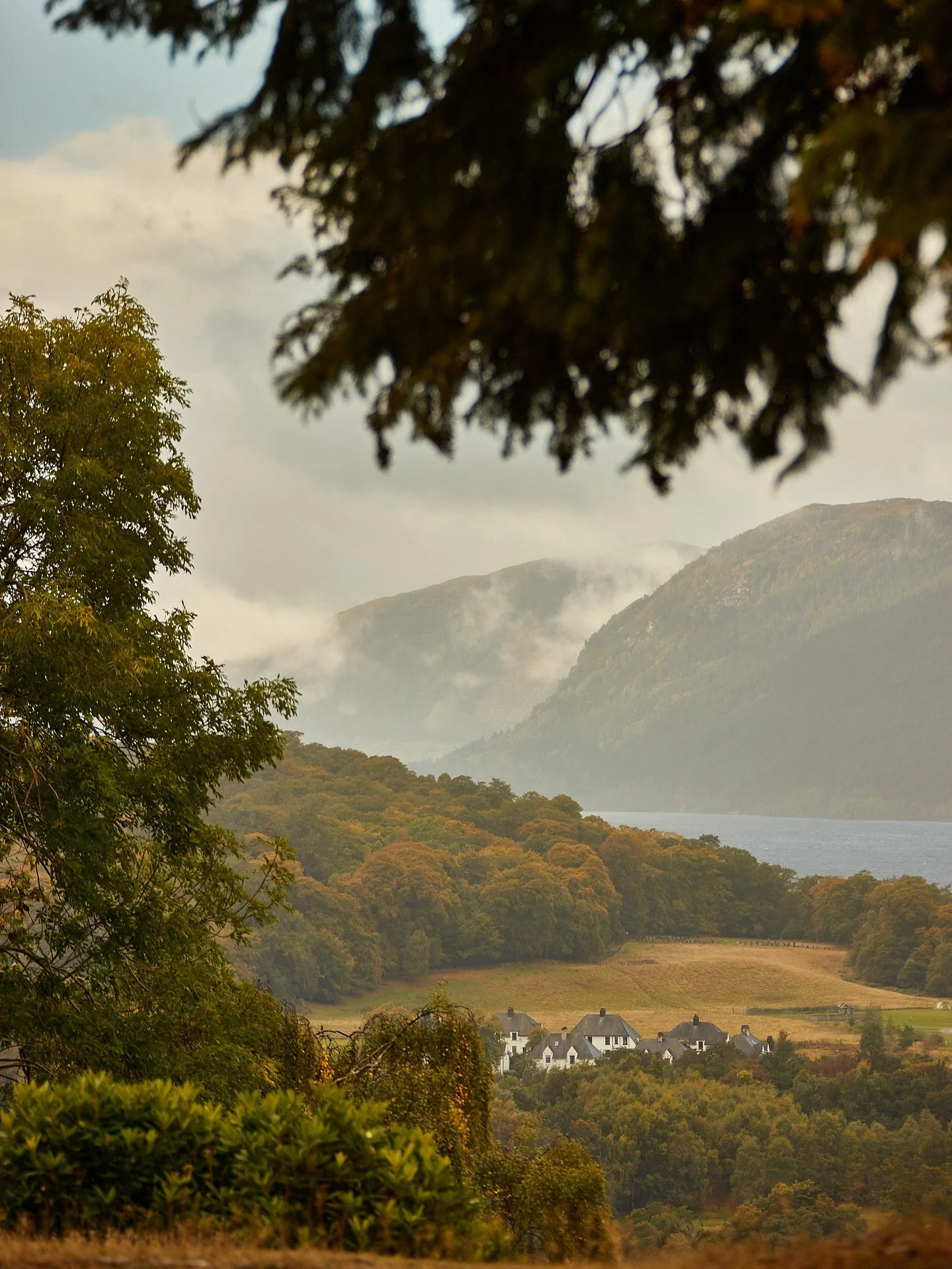 Autumnal views from the garden here at Foyers Lodge.
Beautifully captured by @ladyemilytravels 
#foyerslodge #lochness #autumnvibes #autumnviews