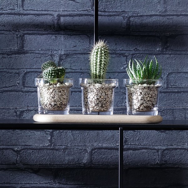 Plant-Trio-Pot-Set-with-Oak-Base_cuckooland_discound_code_and_offers.jpg