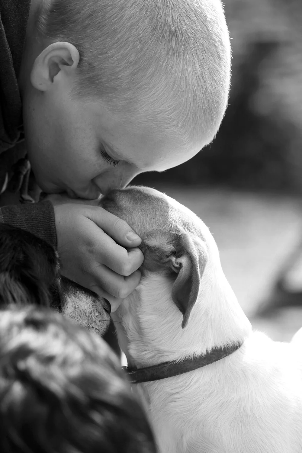 People & dogs 1 web.jpg