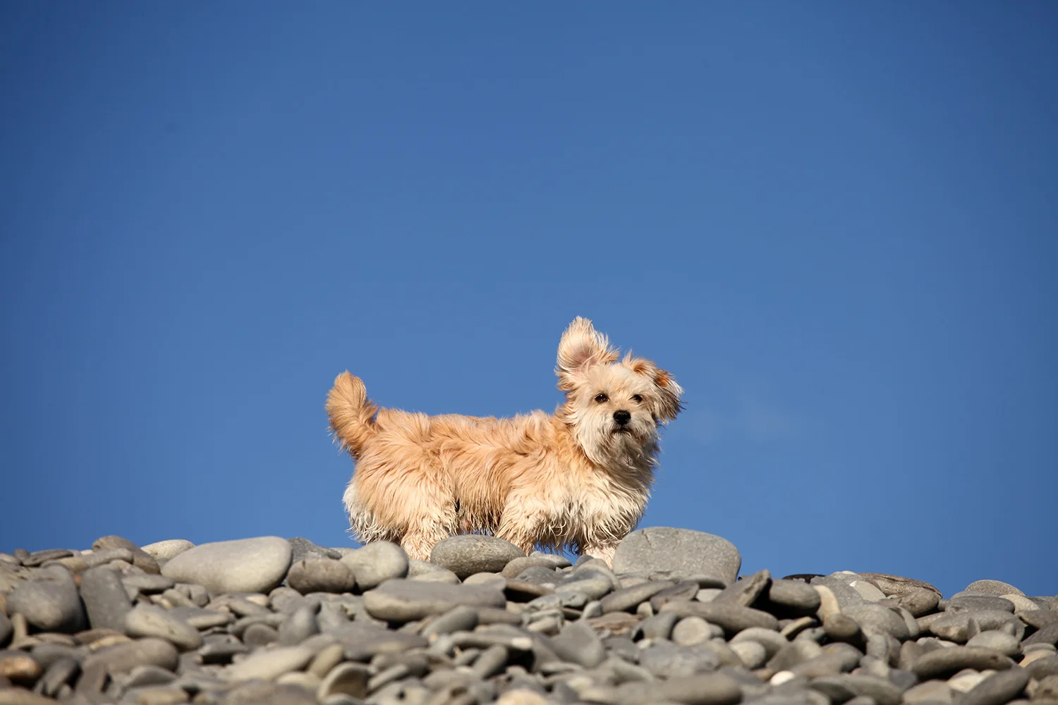 Spike beach 3 web.jpg