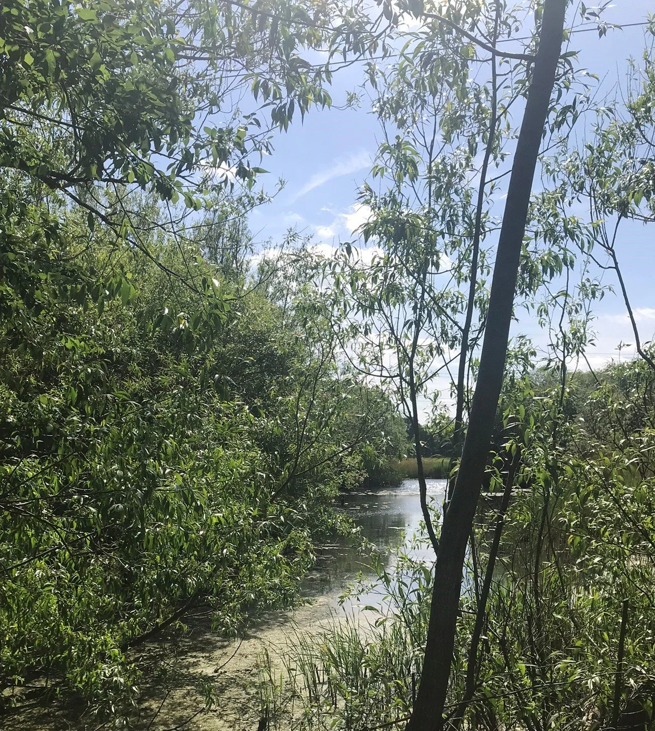 Unearthing Everything That Has Been Hidden