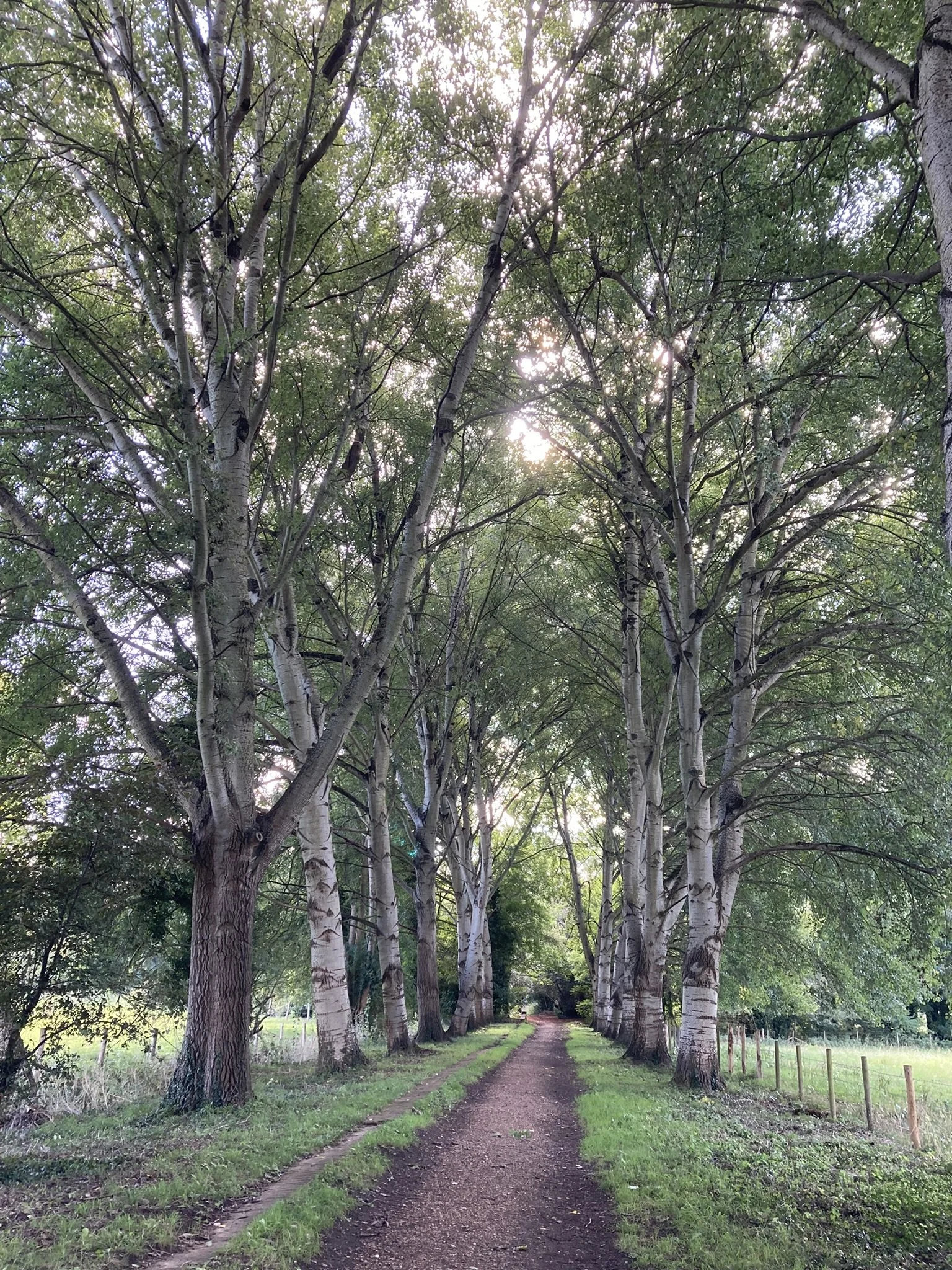 Taking Steps Towards Healing