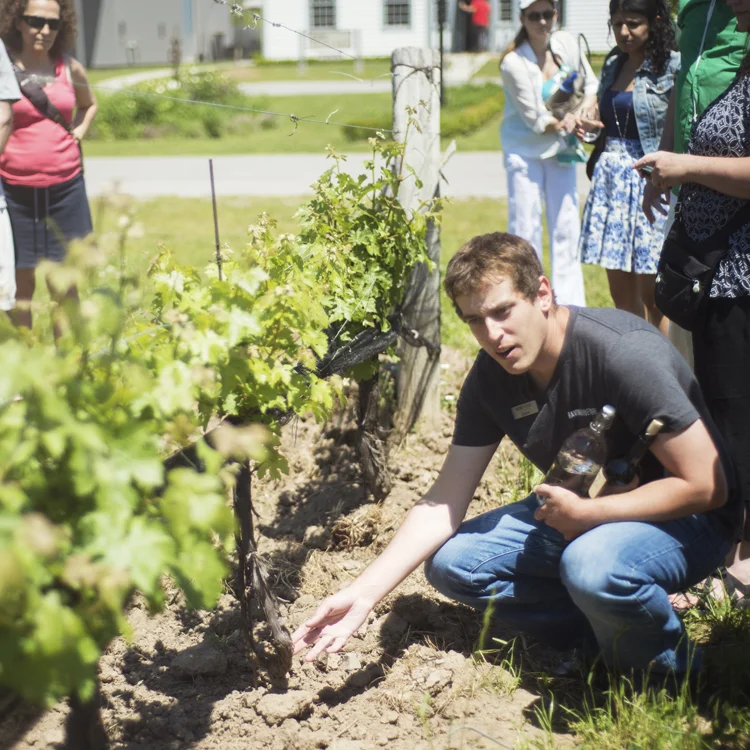 Guided-Toronto-Wine-Tasting-2.jpg