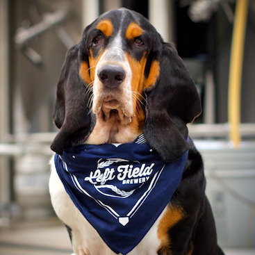 Wrigley - head of security and customer relations @ Left Field
