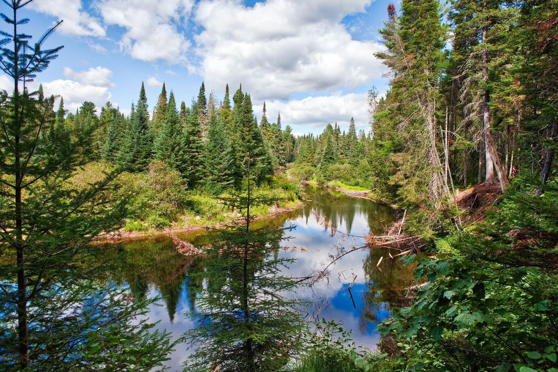 algonquin-park-2873490_1920.jpg