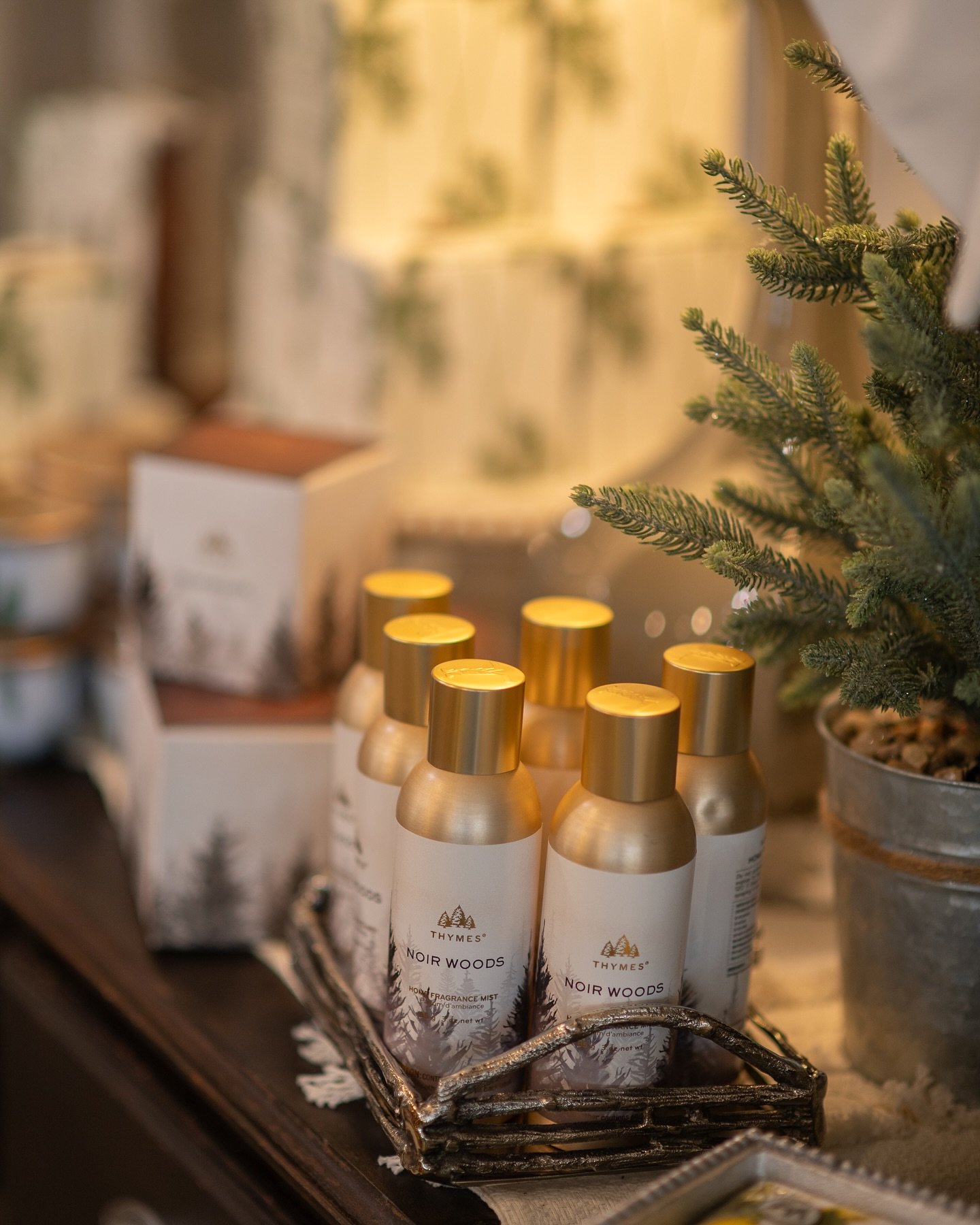 β¨ We’re thrilled to introduce our newest scent — Noir Woods from Tymes. Cozy, rich, and timeless, it’s the perfect candle to carry you from crisp fall evenings all the way through the first blooms of spring. π
#NoirWoods #TymesCan