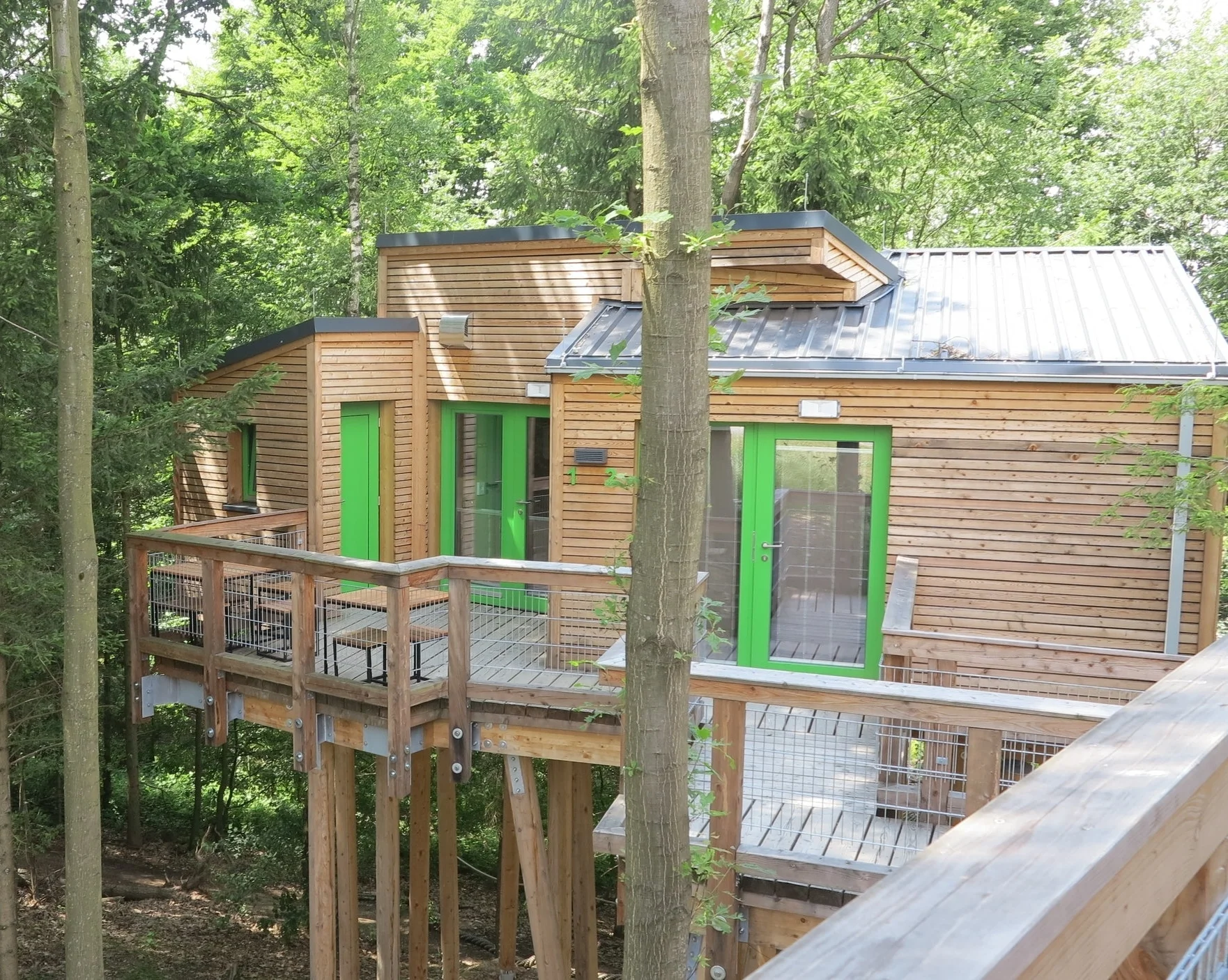 Bergisches Land: Im Baumhaus