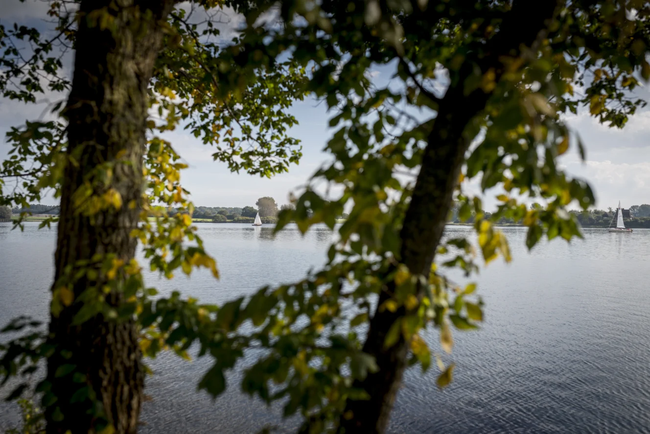 Blick auf die Schlei (Copyright: Axel Martens)