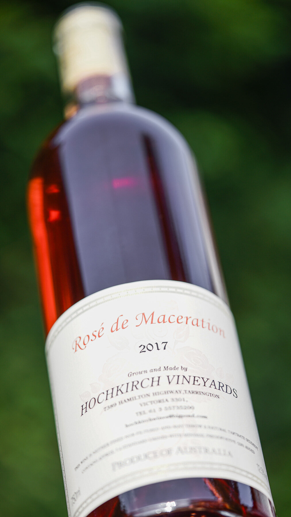 Hochkirch Rose 2017 (Story).jpg