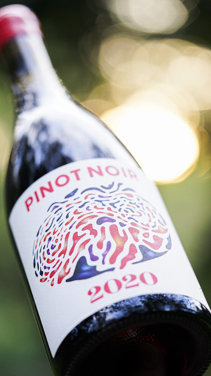 Future Perfect Pinot Noir 2020 (Detail).jpg