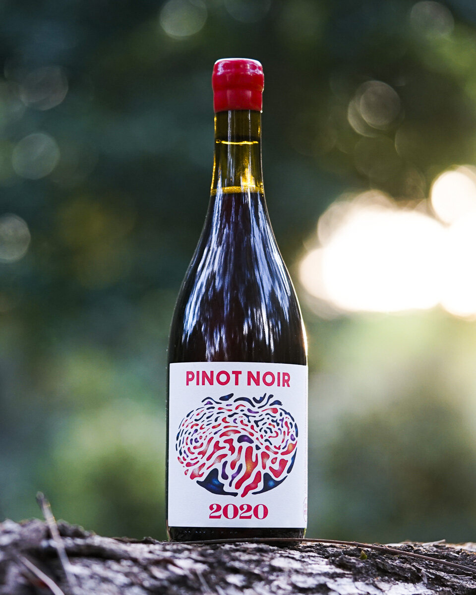 Future Perfect Pinot Noir 2020.jpg