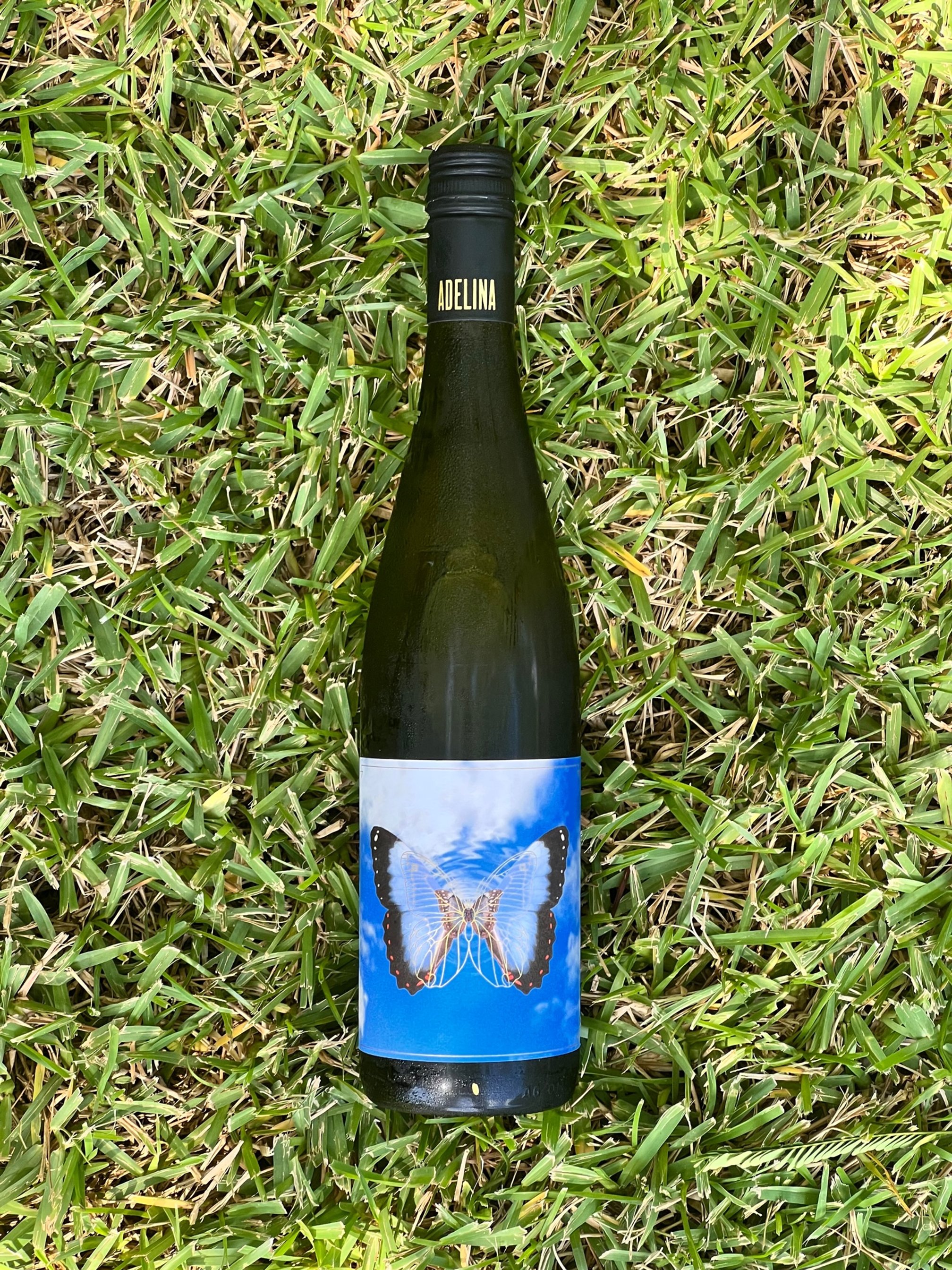 Adelina Ruchioch Riesling.jpg