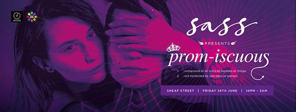 Sass cover panel_4.jpg