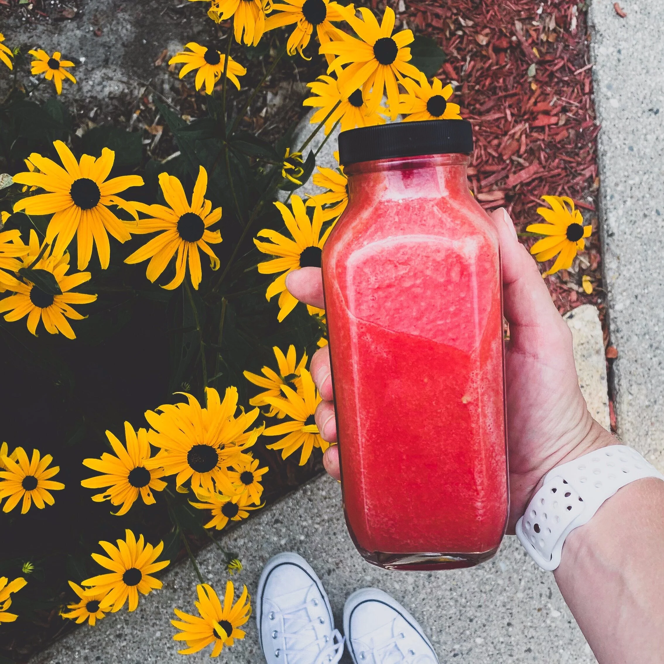 Watermelon Lemonade
