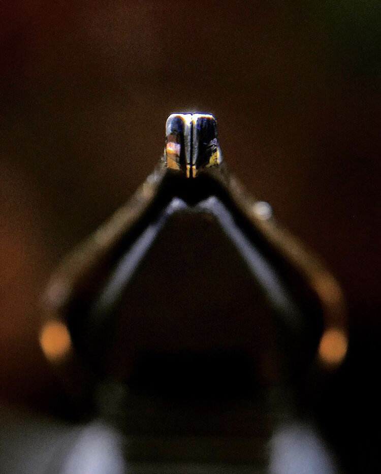 Tailor 3776 ($350 full pen with Tailor grind)