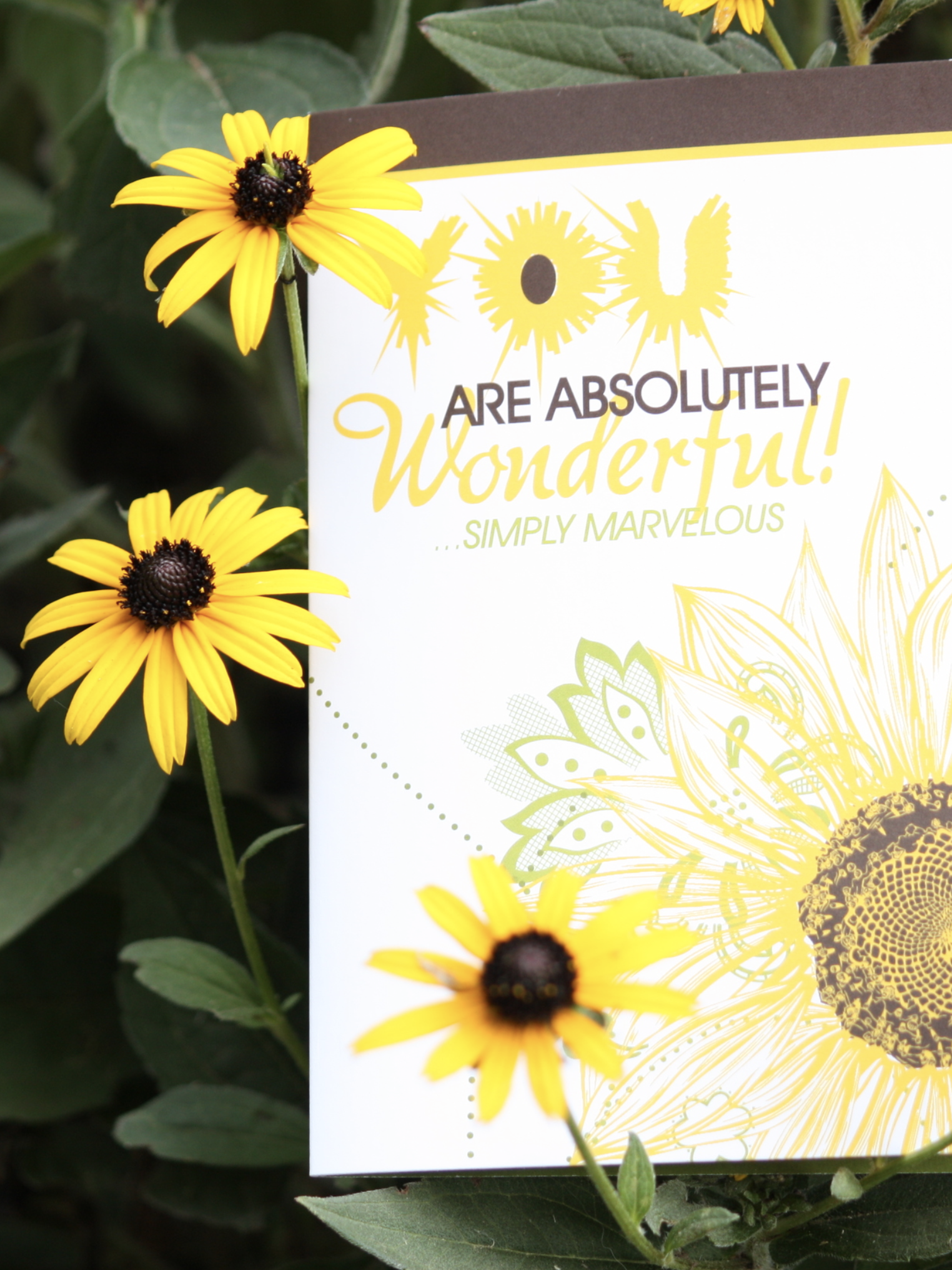For Such A Time "ABSOLUTELY WONDERFUL!" GREETING CARD