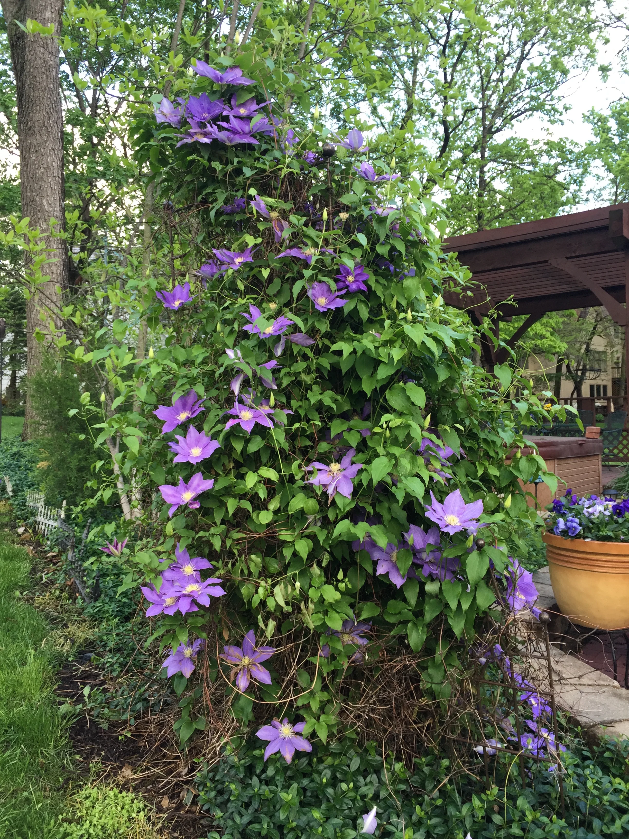Parallels between nature and business are everywhere, but only if you take time to smell the flowers.