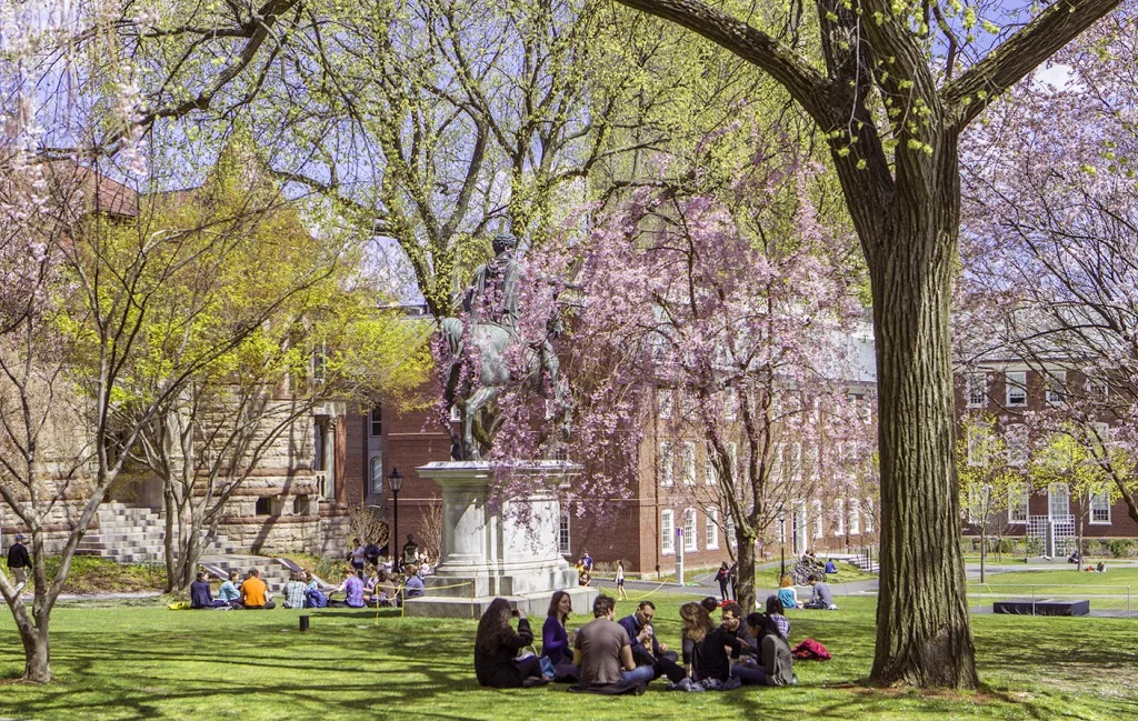 campus_flowers.jpg