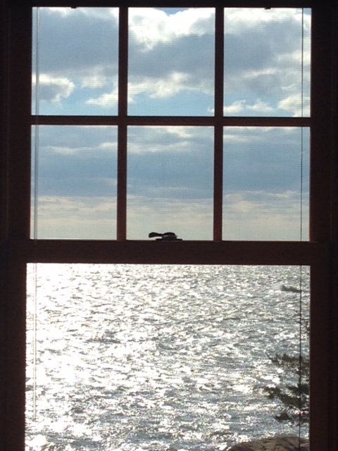 It all started with a vision…