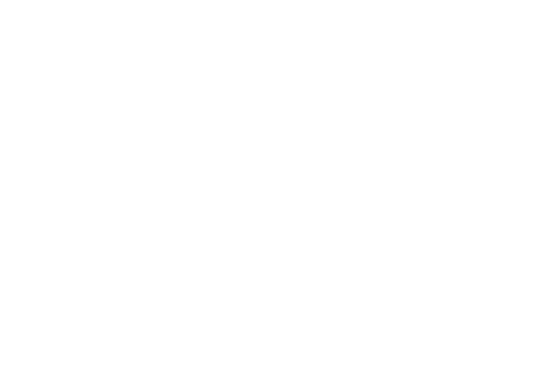 check icon small.png