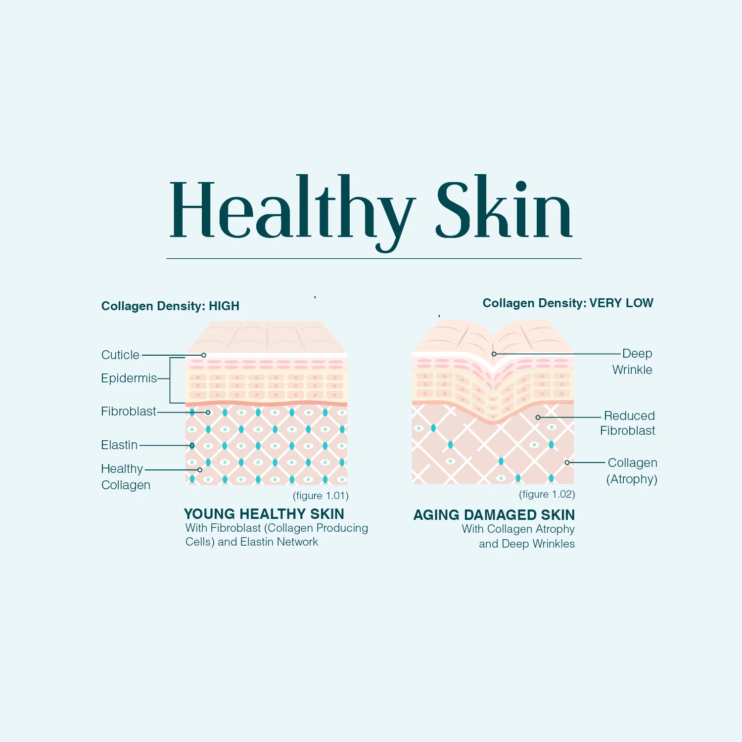 HEALTHY SKIN square.jpg