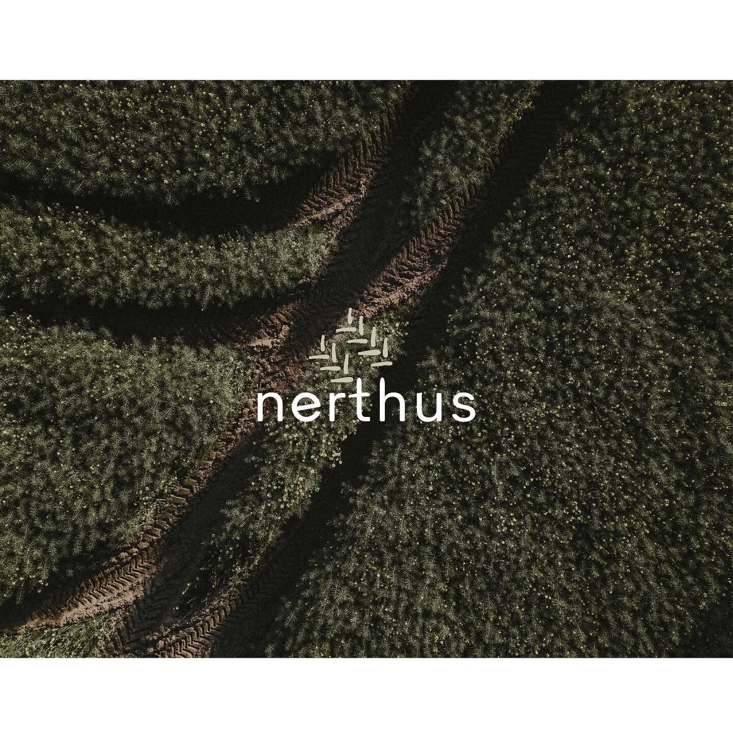 A walk down memory lane… project from 2018. Particular attention goes to the cross of the t, deliberately redesigned to fit in with the tracks. #sweetandsimple 
.
.
.
.
.
.
.
.
.
#branding #brandidentity #graphicdesign #branddesign #logodesign