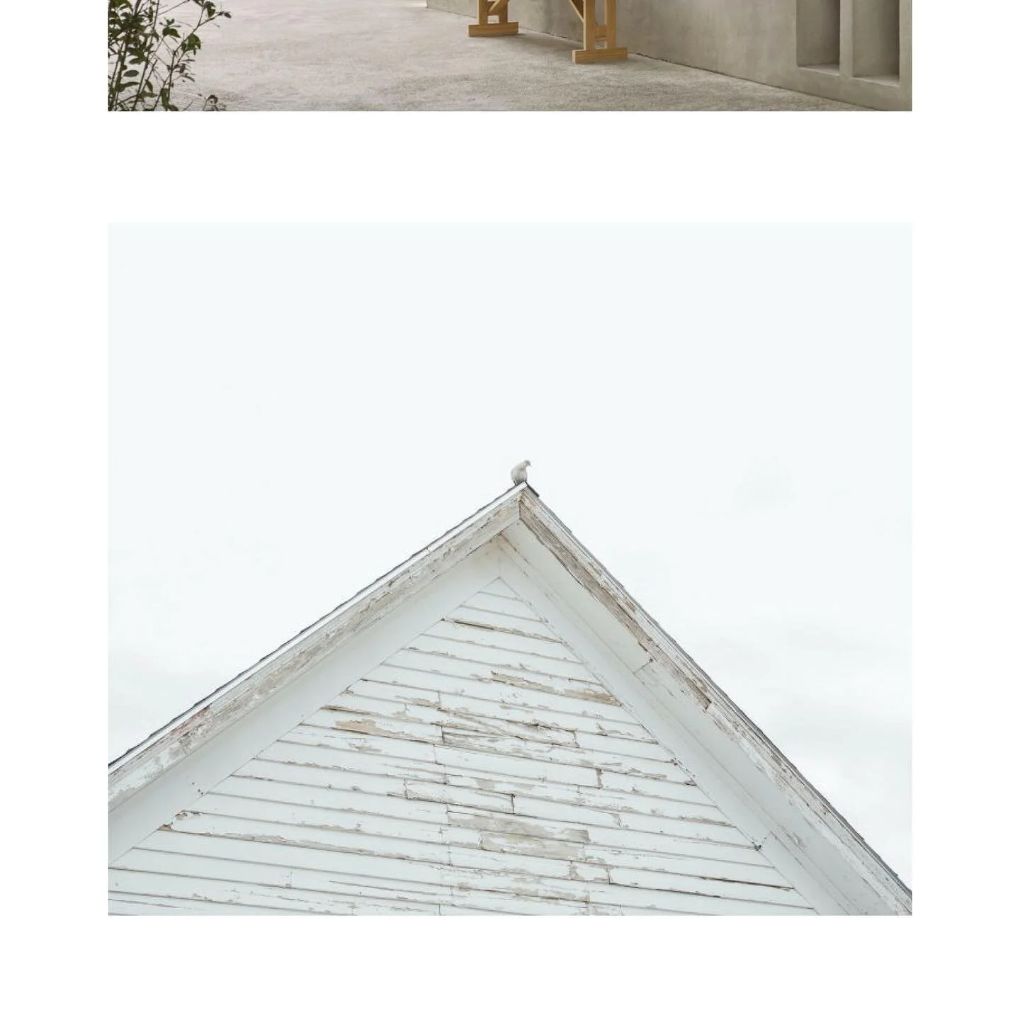 Apexes we love ๐ฆ
.
.
.
.
.
.
.
.
.
#momentofcalm #smallissafe #safehaven #designinspo #homeadore #desigmilk #suitecasetravels #d_signers #spacesilike #desigmilk