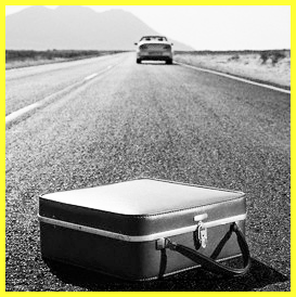 A Flower Grows in the Desert