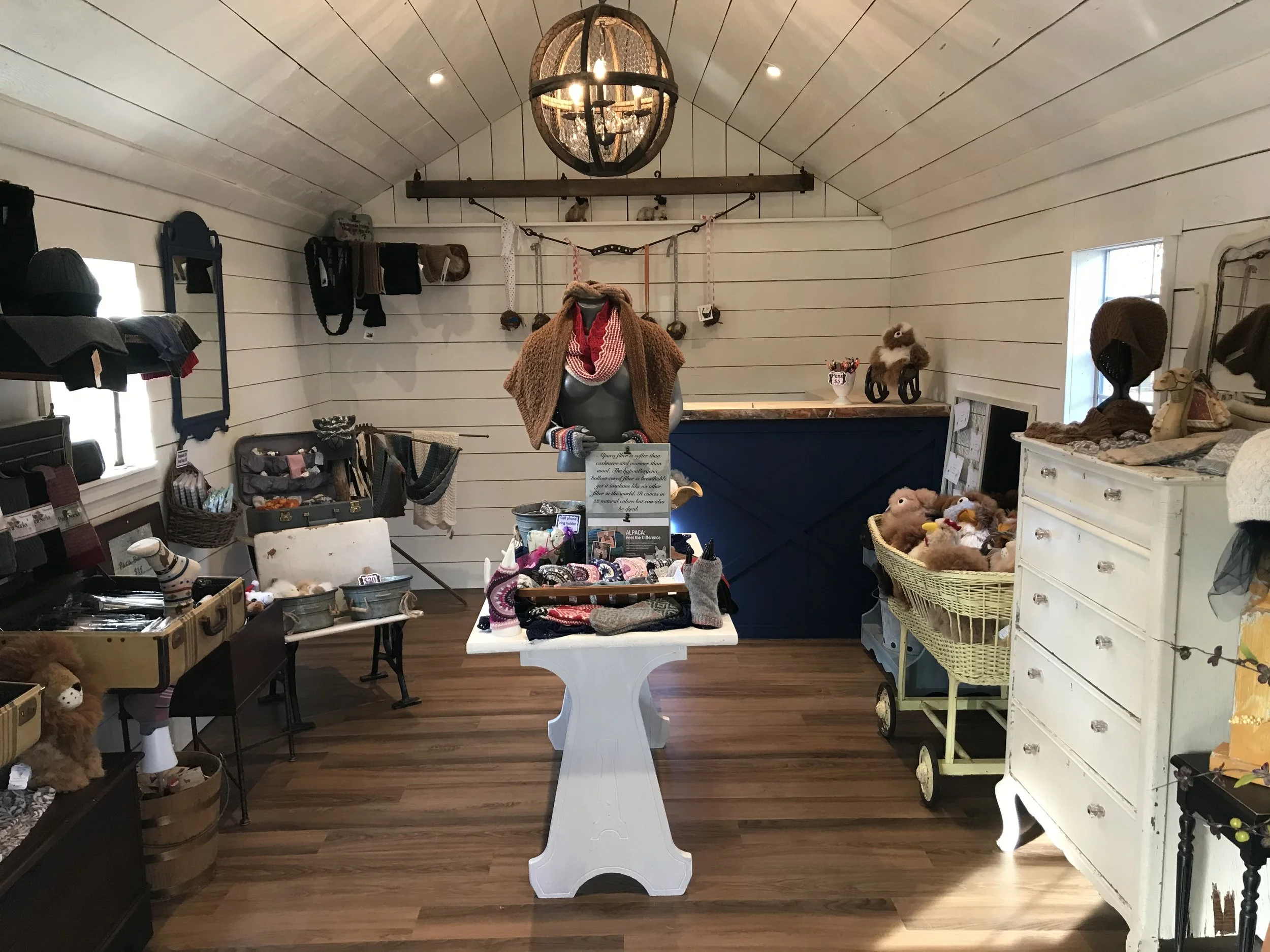 Alpaca Shop 2