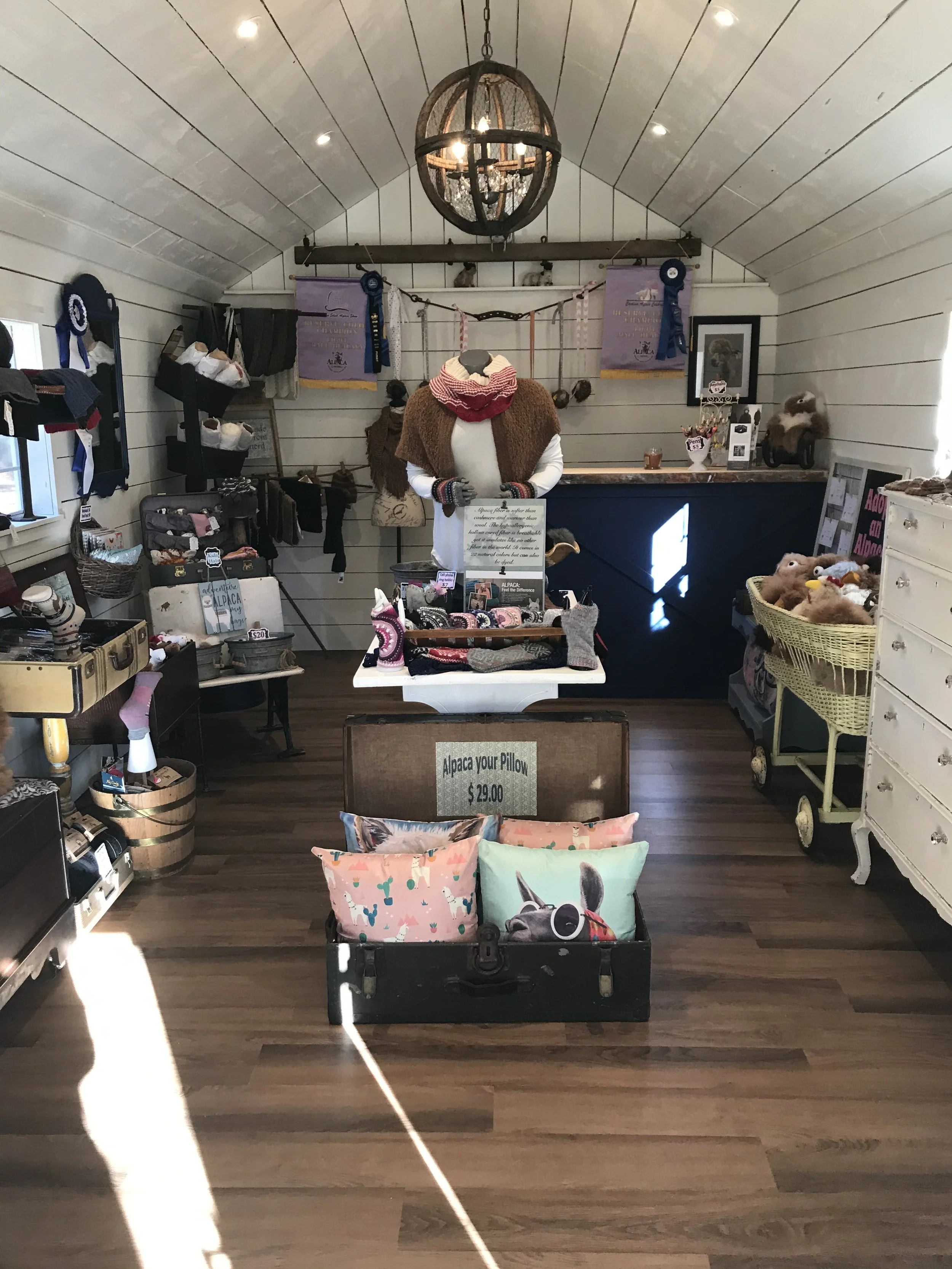 Alpaca Shop 1